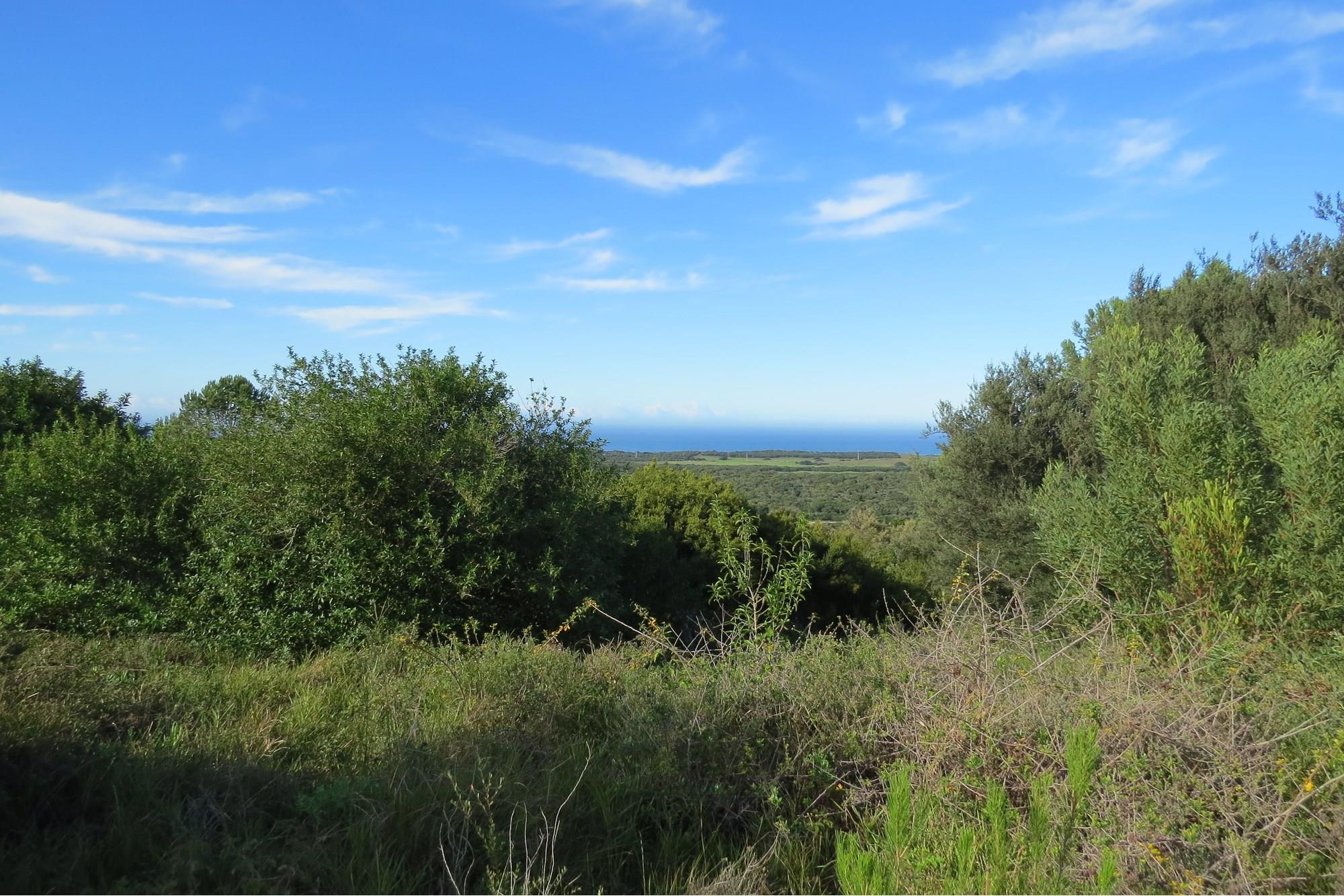 Vacant Stand with Sea Views, Position, Old Sea View Road, Port Elizabeth.