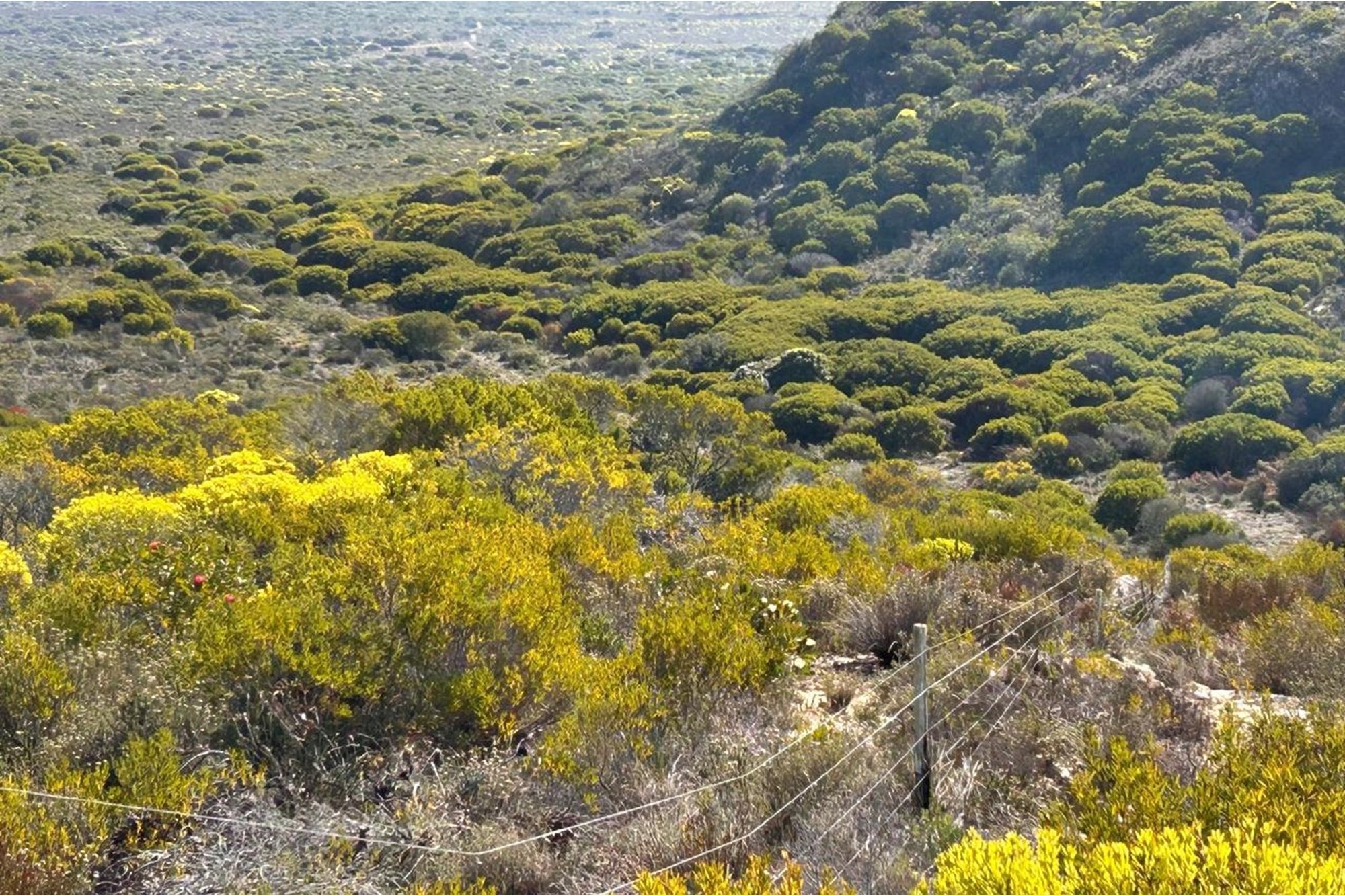 Luxury Off-Grid Farm for Sale - Grazing Land and Views near Heidelberg