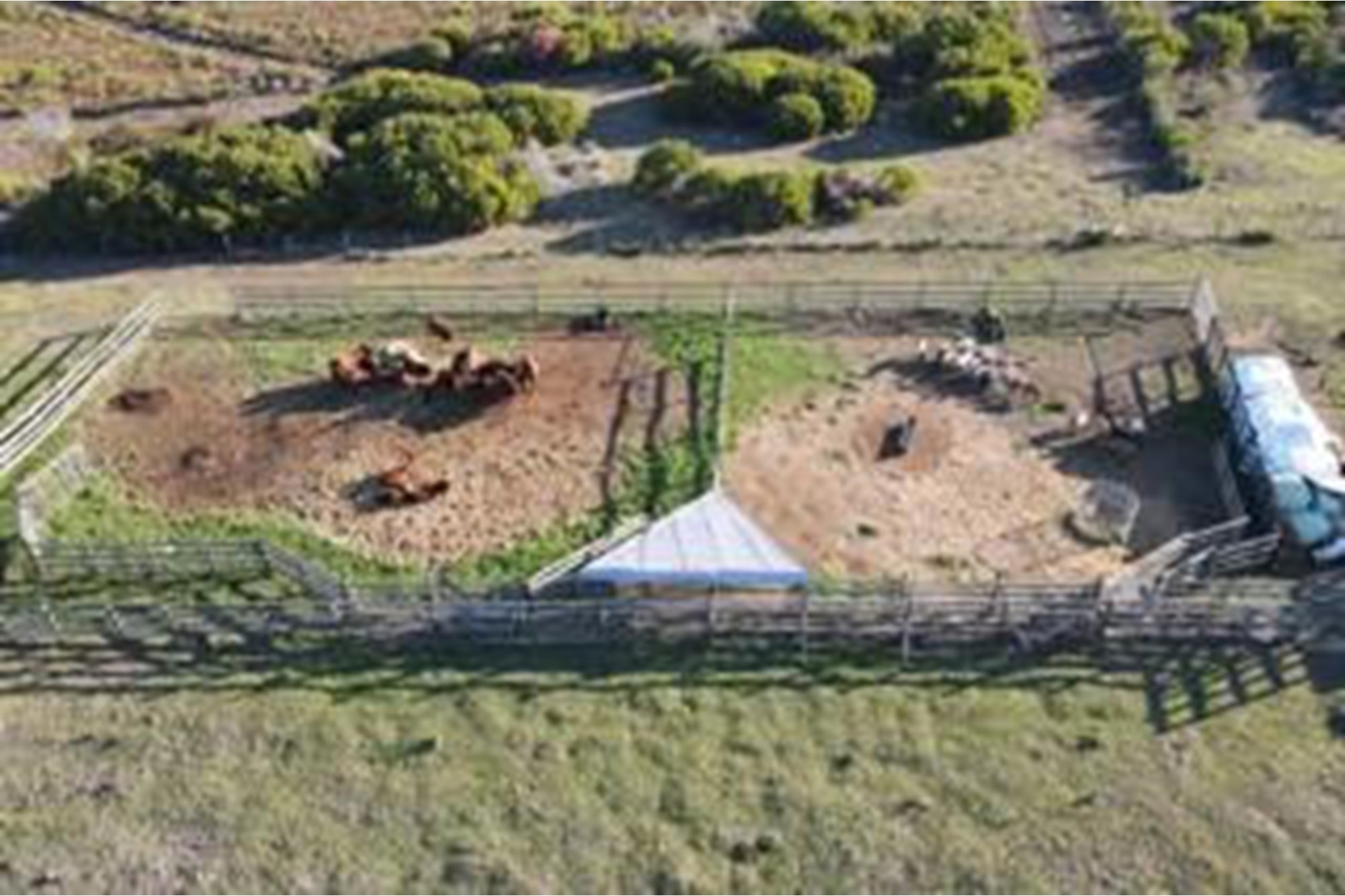 Luxury Off-Grid Farm for Sale - Grazing Land and Views near Heidelberg