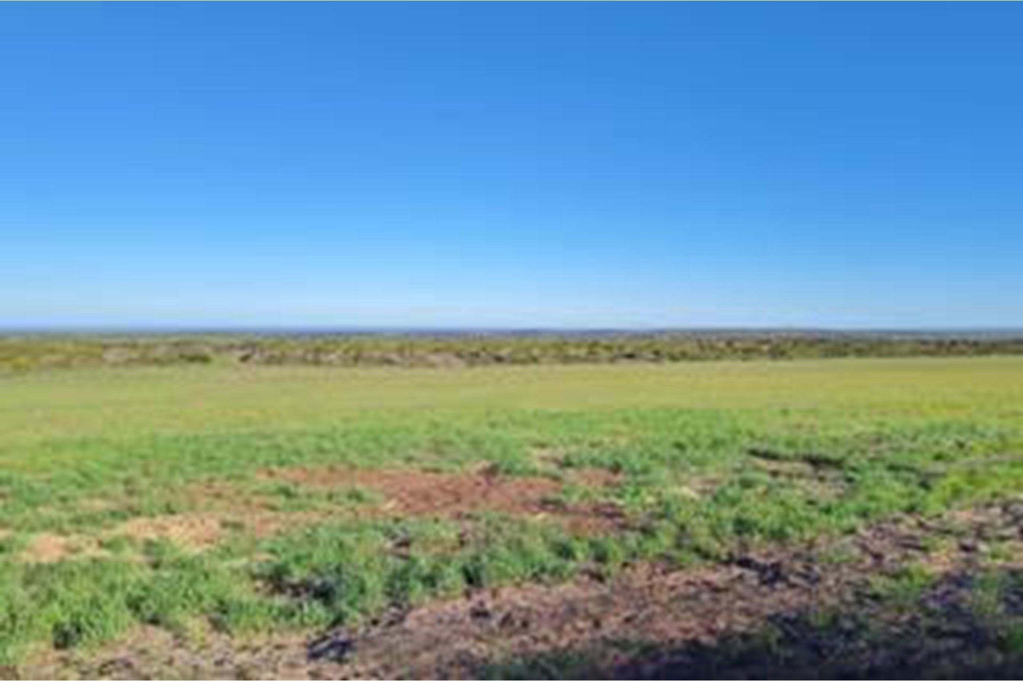 Luxury Off-Grid Farm for Sale - Grazing Land and Views near Heidelberg