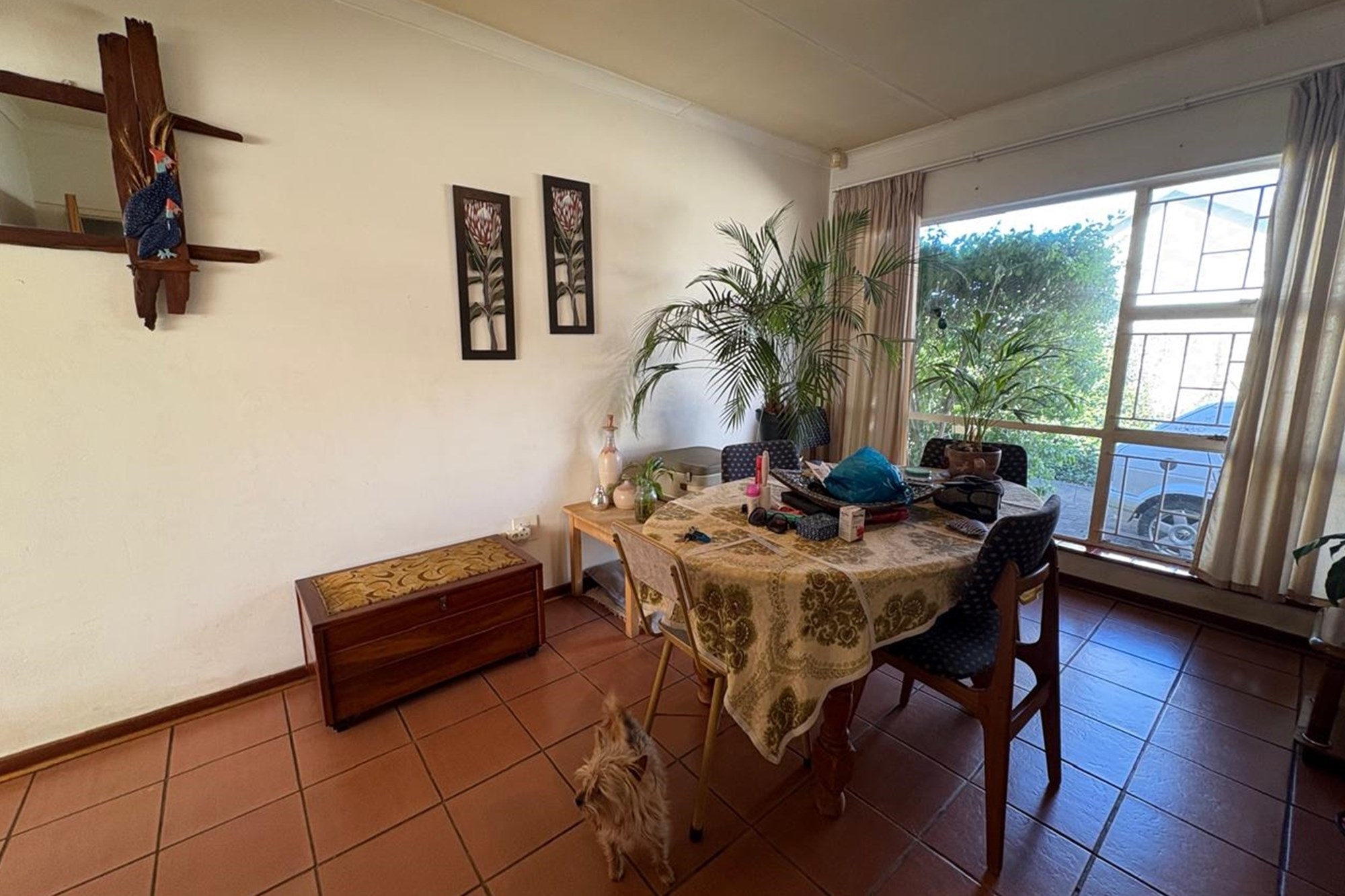 Versatile Property in Prime Hutten Heights Location - Ideal for Office Conversion