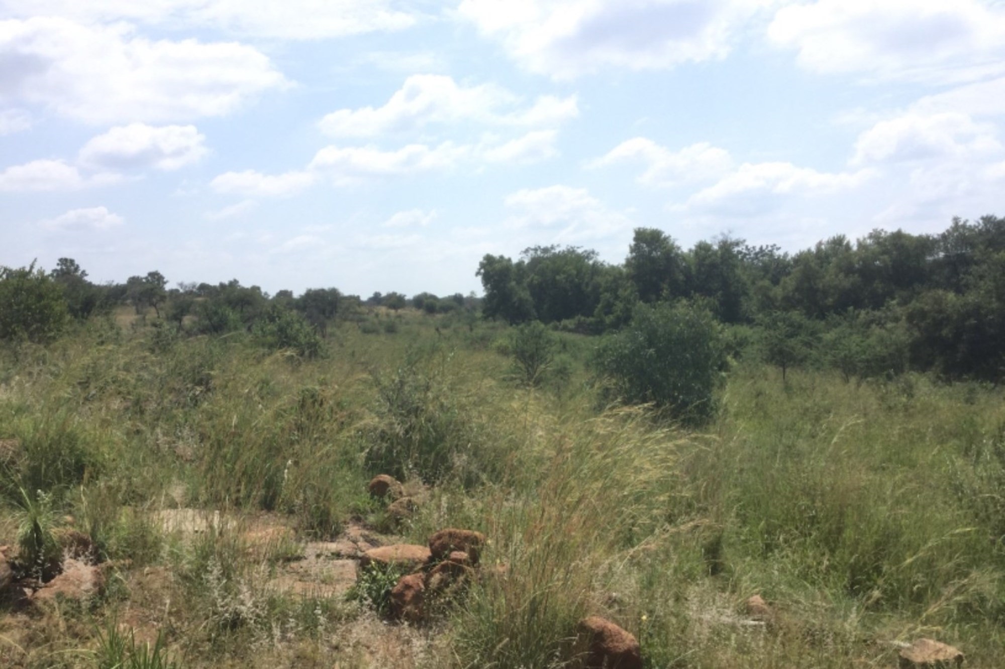 Farm for sale in Dinokeng Game Reserve, Wonderboom, 3500000 m²