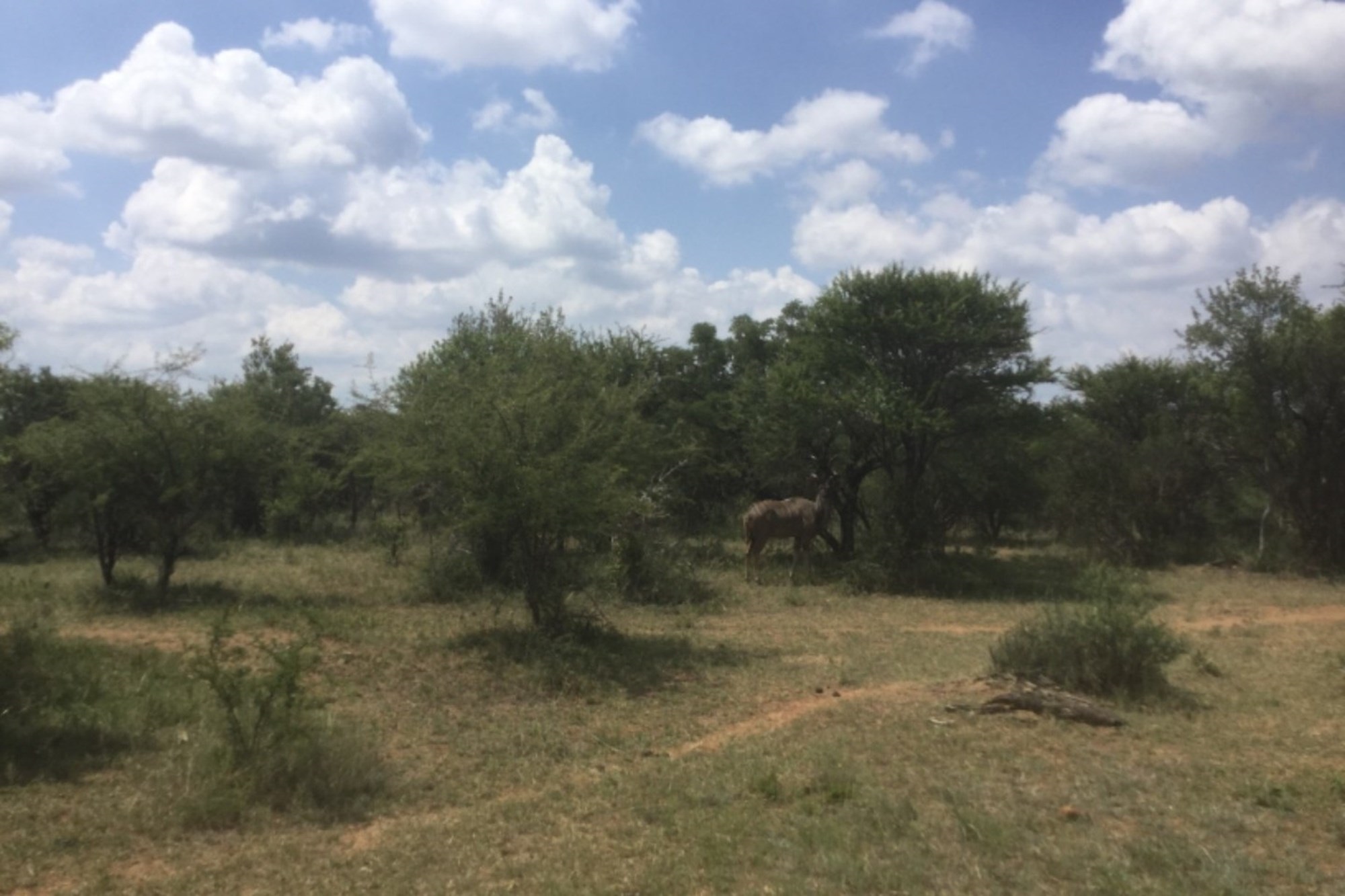 Farm for sale in Dinokeng Game Reserve, Wonderboom, 3500000 m²