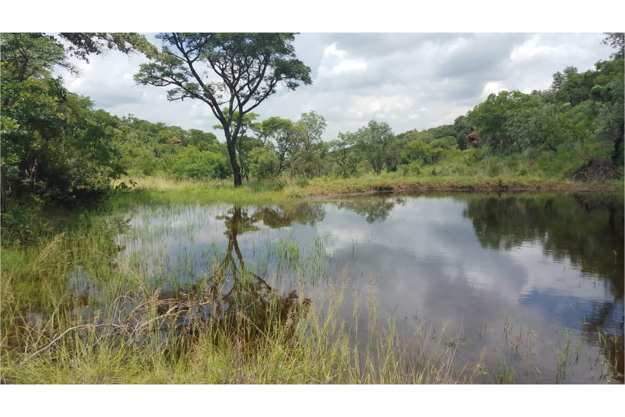Farm for sale in Doornkraal, Cullinan Rural, Cullinan, 230000 m²