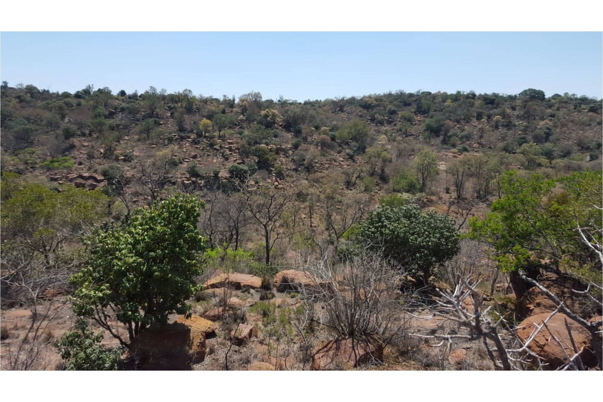 Farm for sale in Doornkraal, Cullinan Rural, Cullinan, 230000 m²