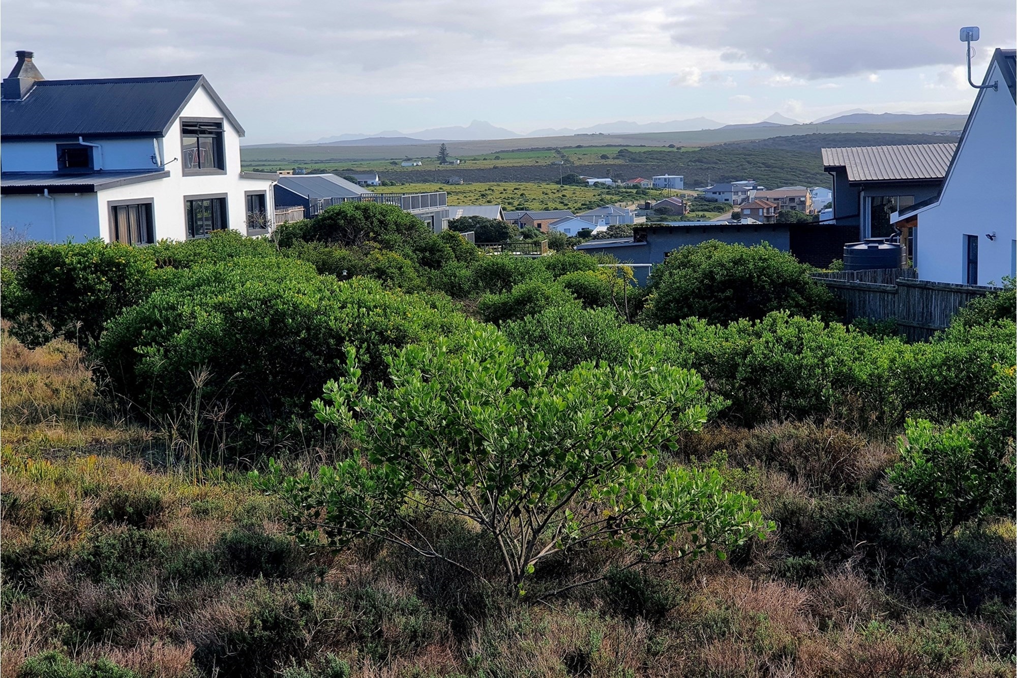Coastal Stand for Sale in Tranquil Hoekbaai, Vleesbaai