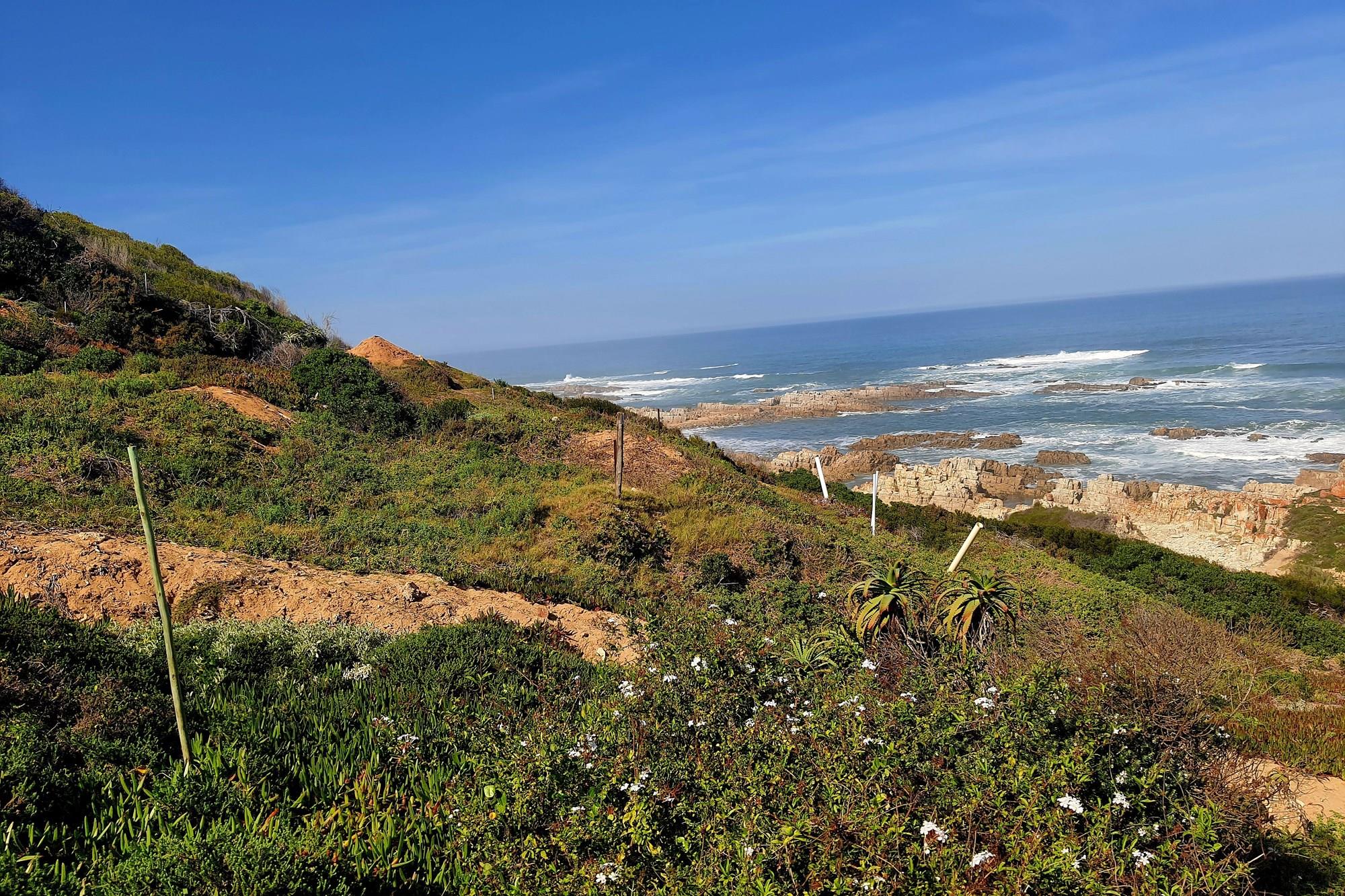 Exceptional opportunity to secure a prime beachfront stand