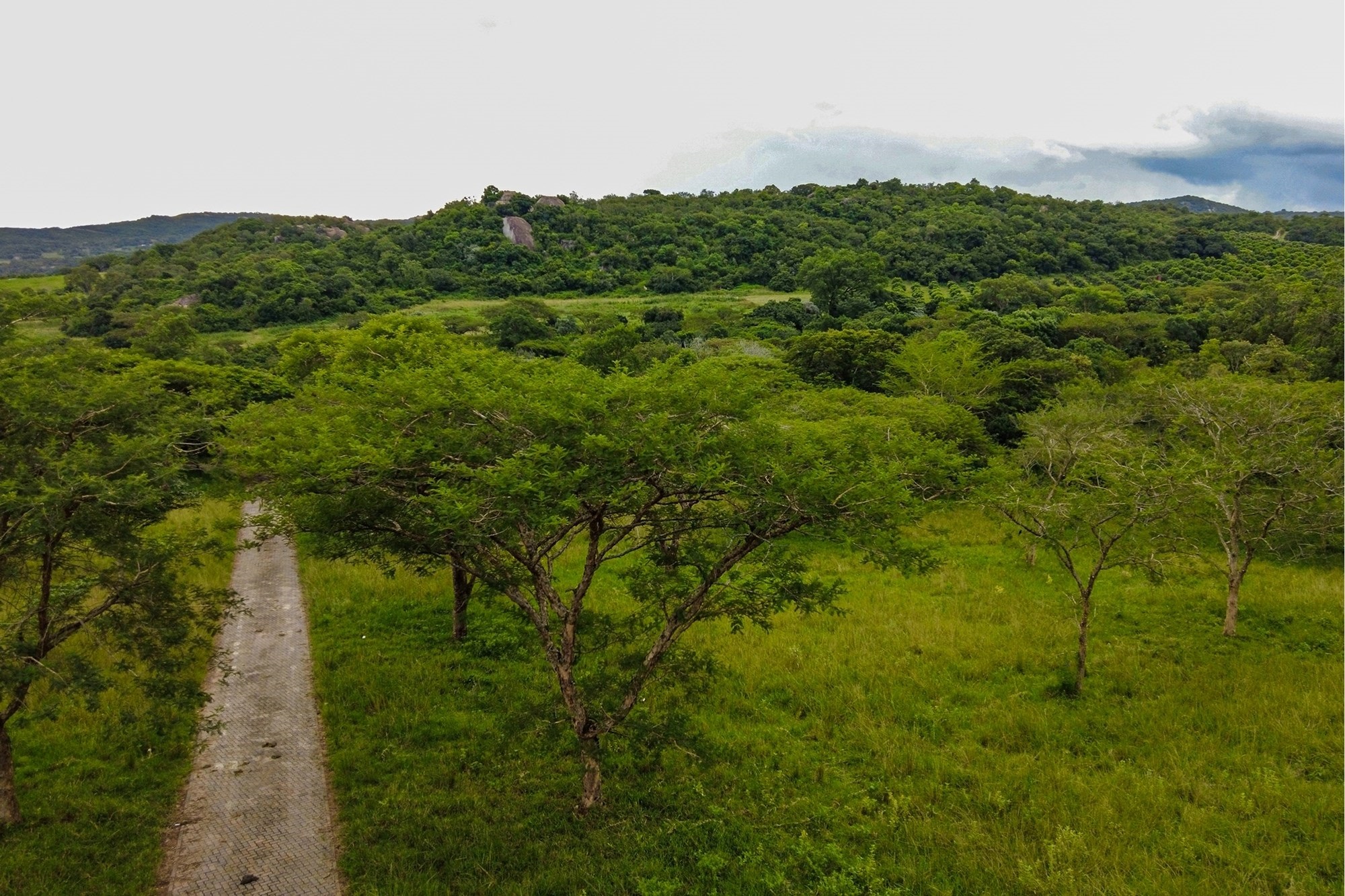"Prime Land in White River: Your Dream Awaits"