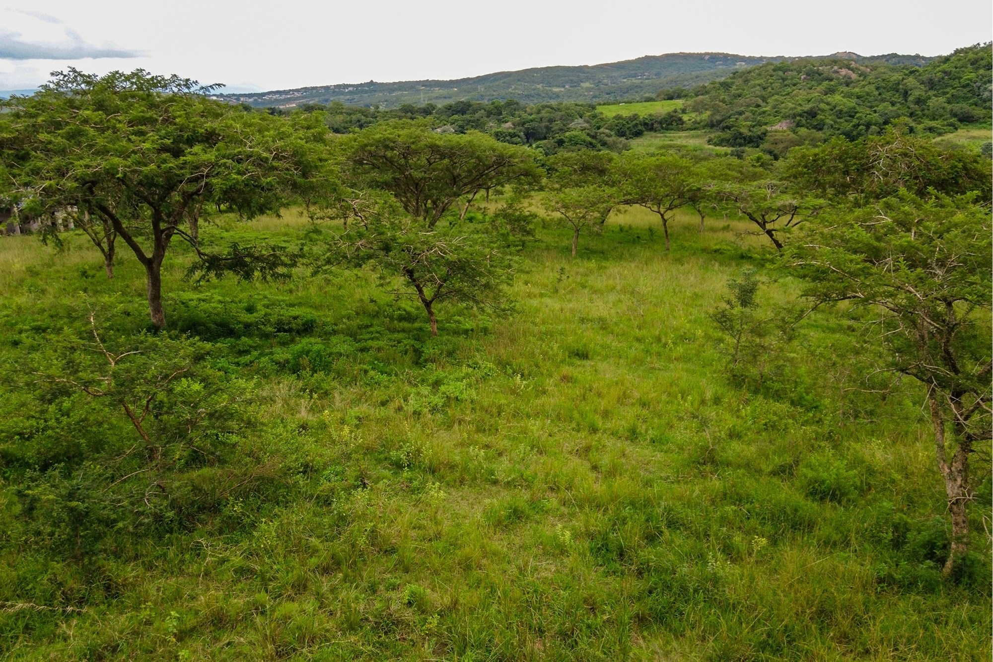 "Prime Land in White River: Your Dream Awaits"