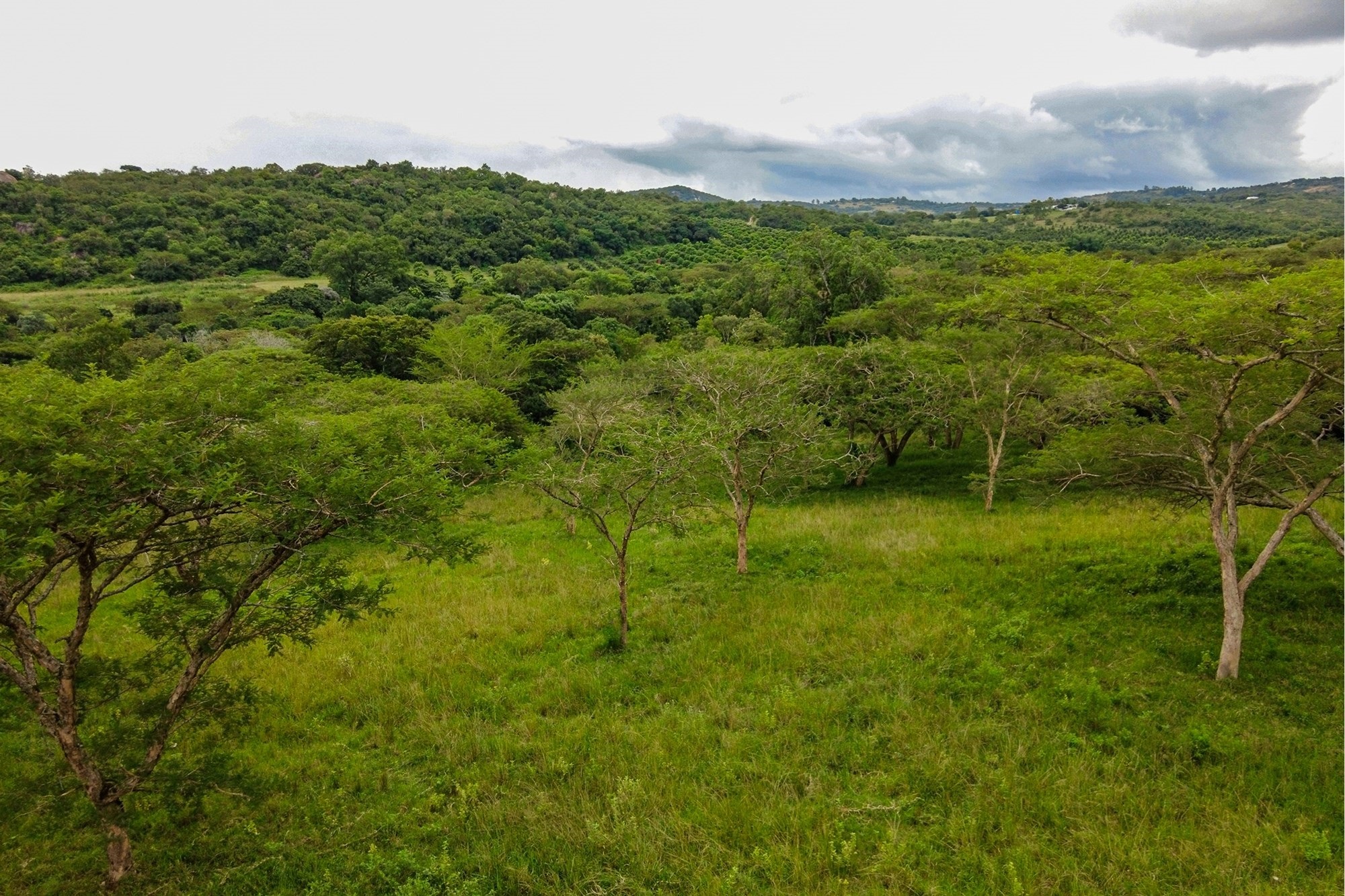 "Prime Land in White River: Your Dream Awaits"
