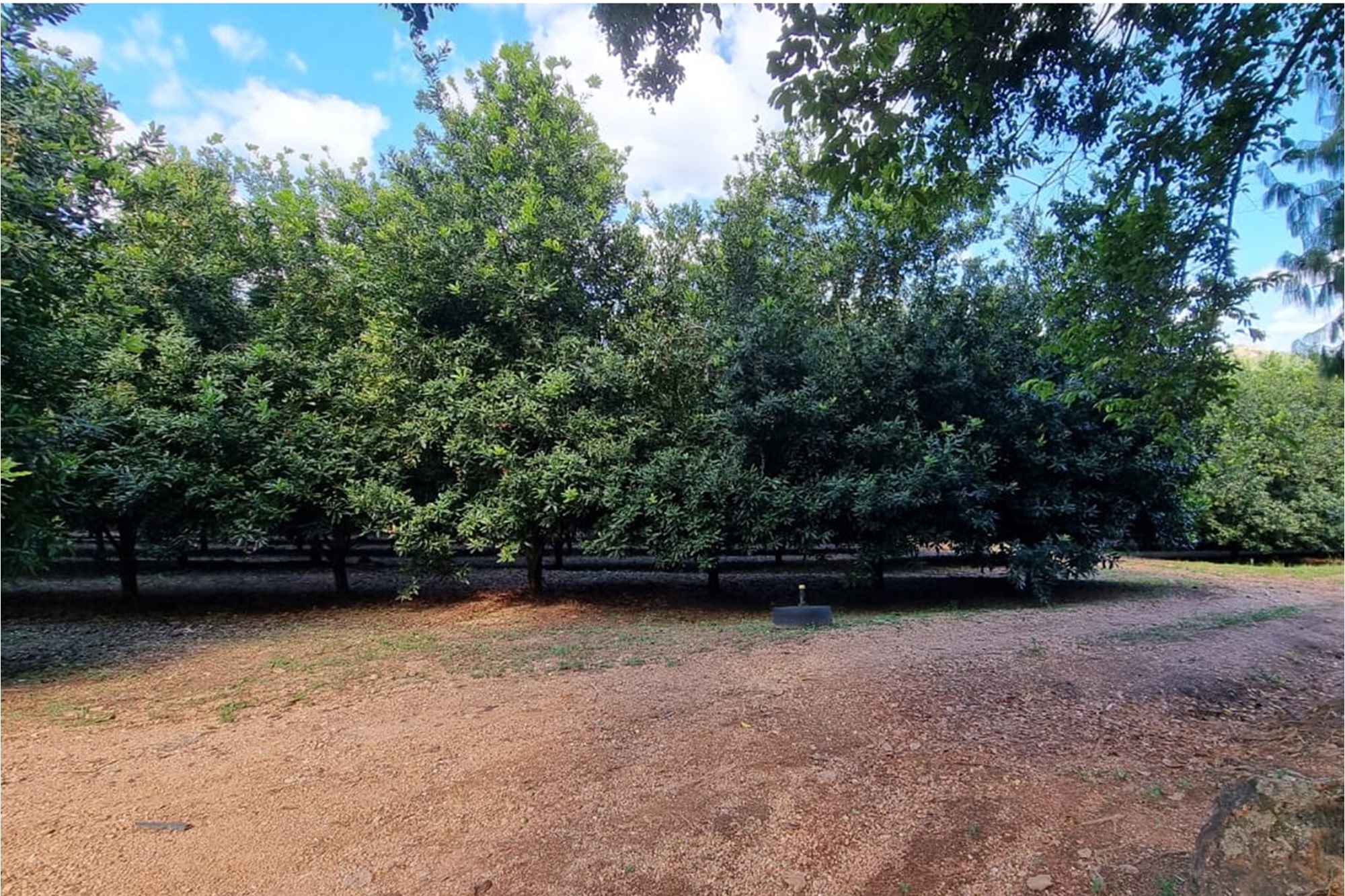 Farm for sale in Nelspruit Rural, Nelspruit, 146000 m²