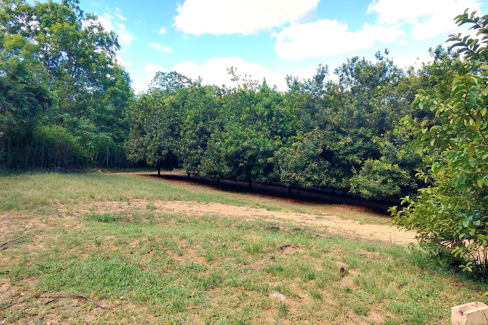 Farm for sale in Nelspruit Rural, Nelspruit, 146000 m²