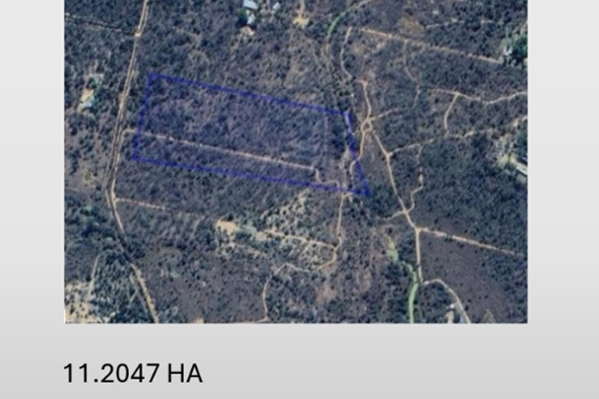 CHICKEN and PIG FARMING STRUCTURES IN PLACE
