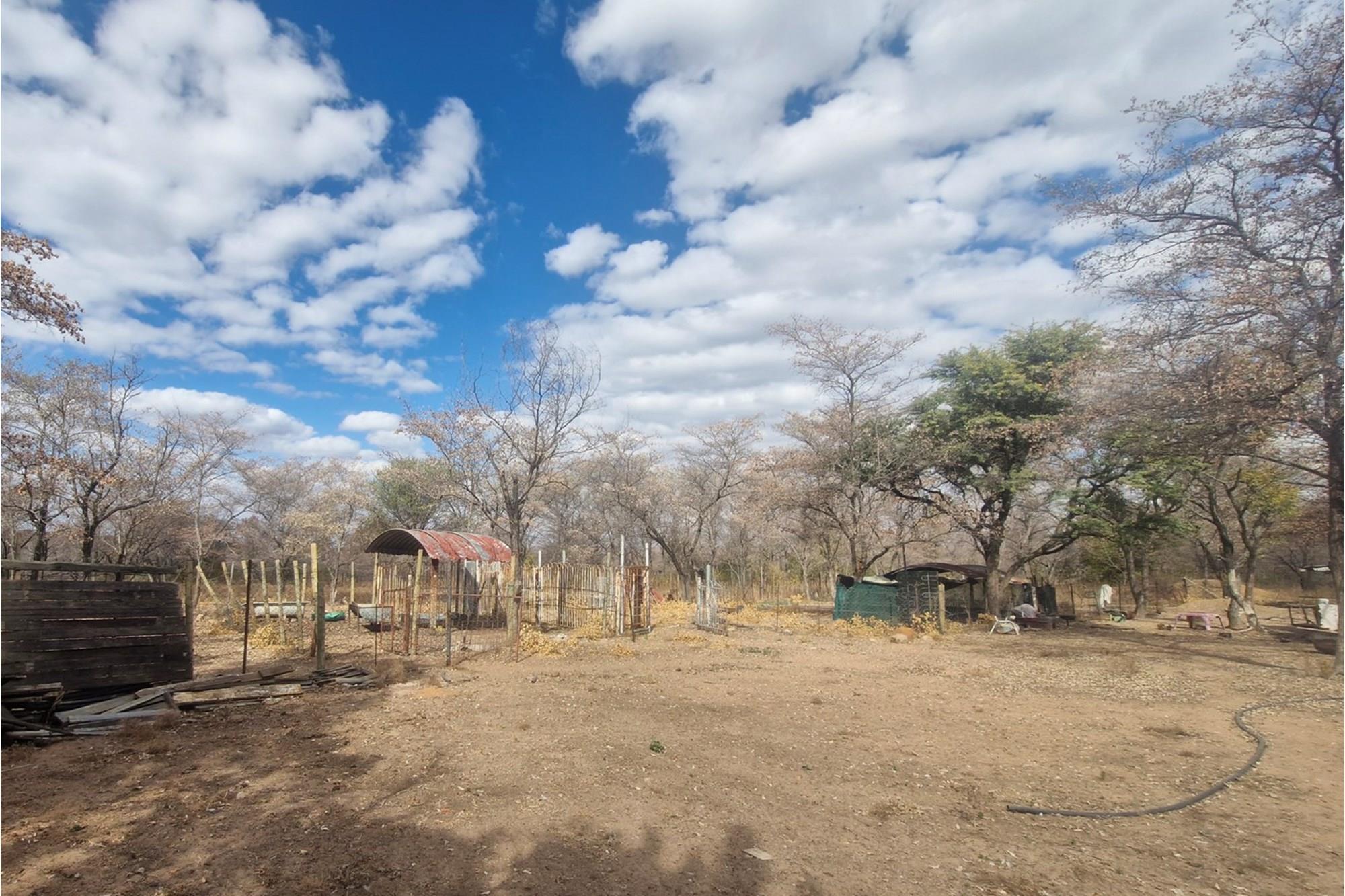 CHICKEN and PIG FARMING STRUCTURES IN PLACE