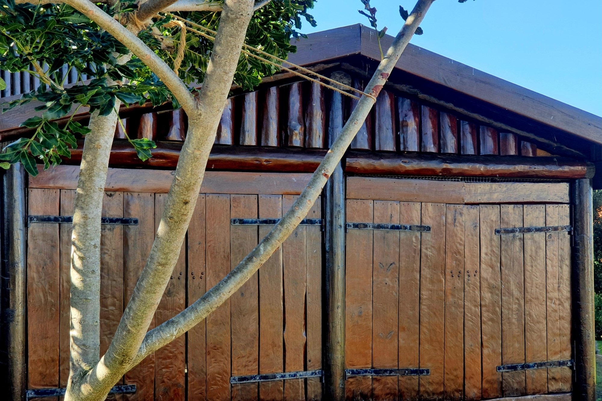 A Handcrafted Log Home Masterpiece in Boggomsbaai