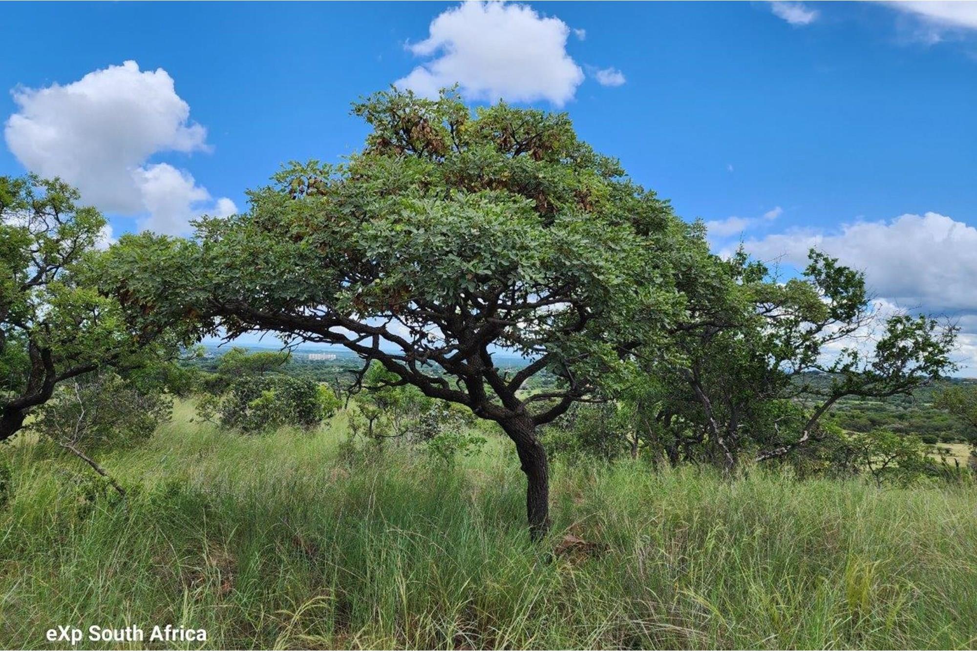 Intaba-Indle - Breathtaking mountain and game reserve views - Bushveld vacant land - Tar Roads