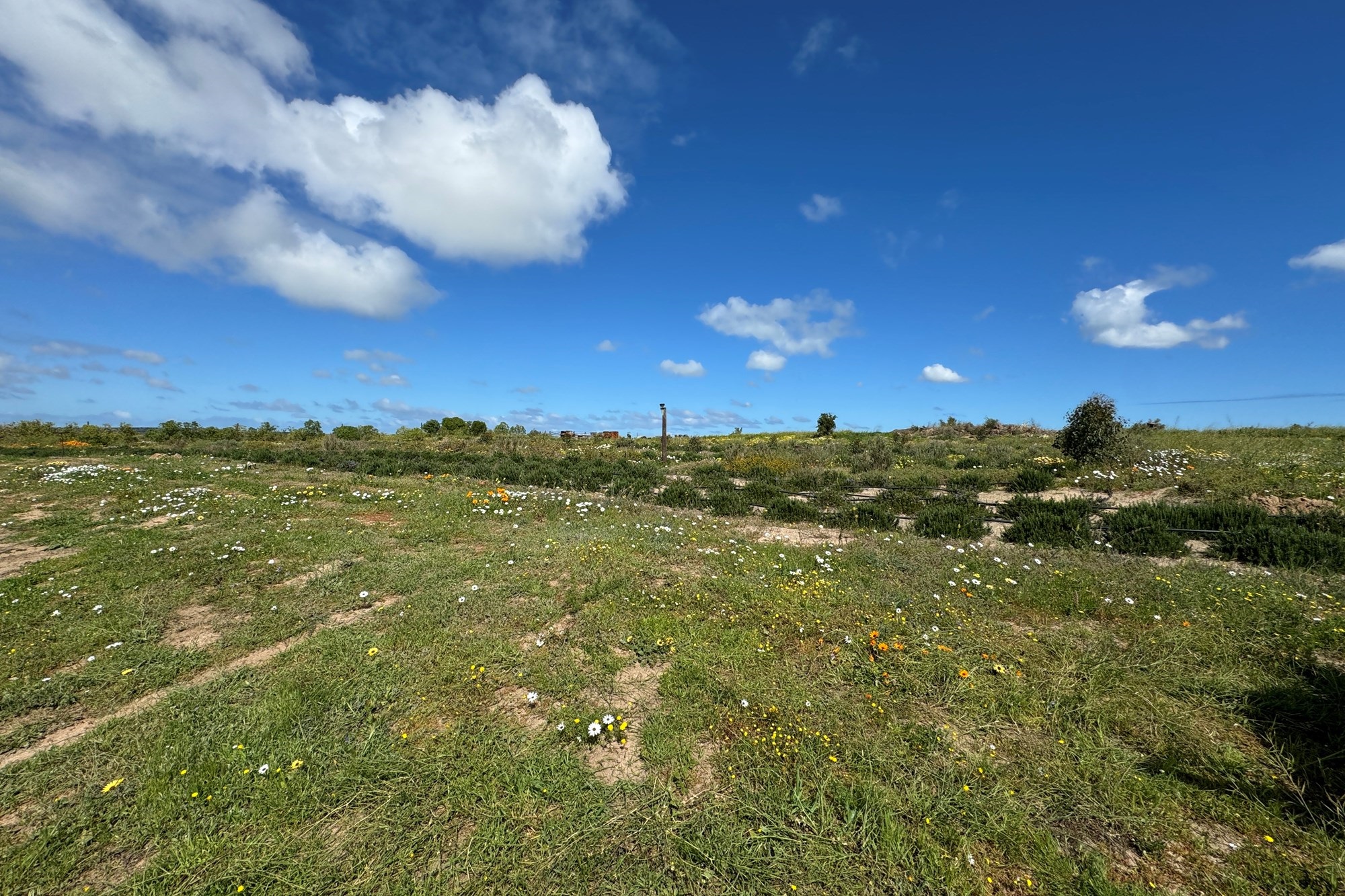 Vacant Land for sale in Long Acres Country Estate, Langebaan, 20070 m²