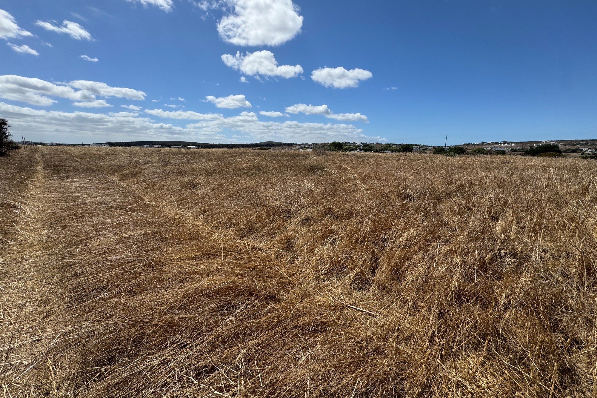 Vacant Land for sale in Long Acres Country Estate, Langebaan, 20070 m²