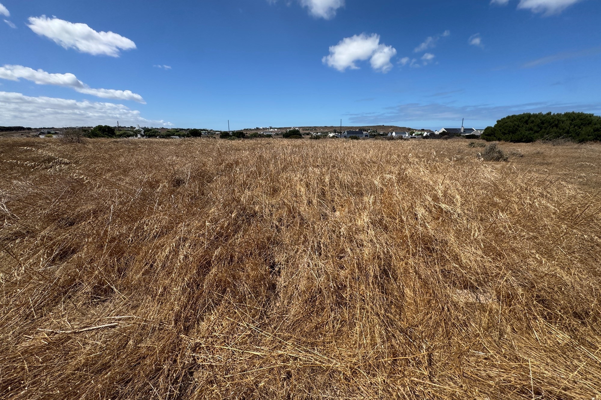 Vacant Land for sale in Long Acres Country Estate, Langebaan, 20070 m²
