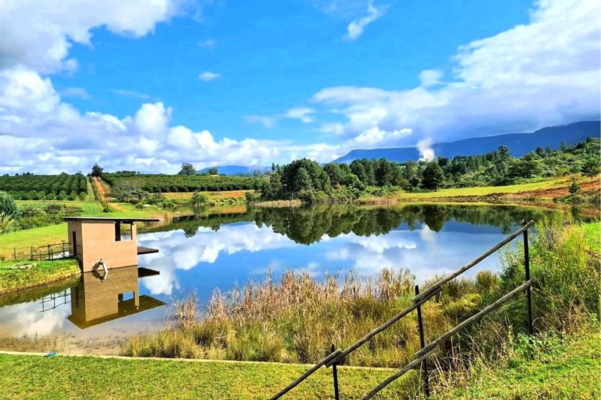 Sprawling 265Ha Macadamia Farm Oasis - Your Agricultural Dream Awaits Near Nelspruit.