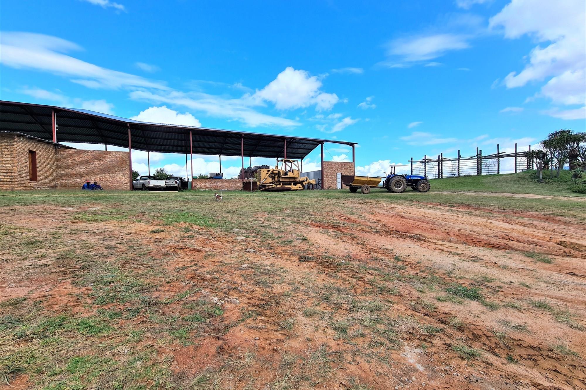 Sprawling 265Ha Macadamia Farm Oasis - Your Agricultural Dream Awaits Near Nelspruit.
