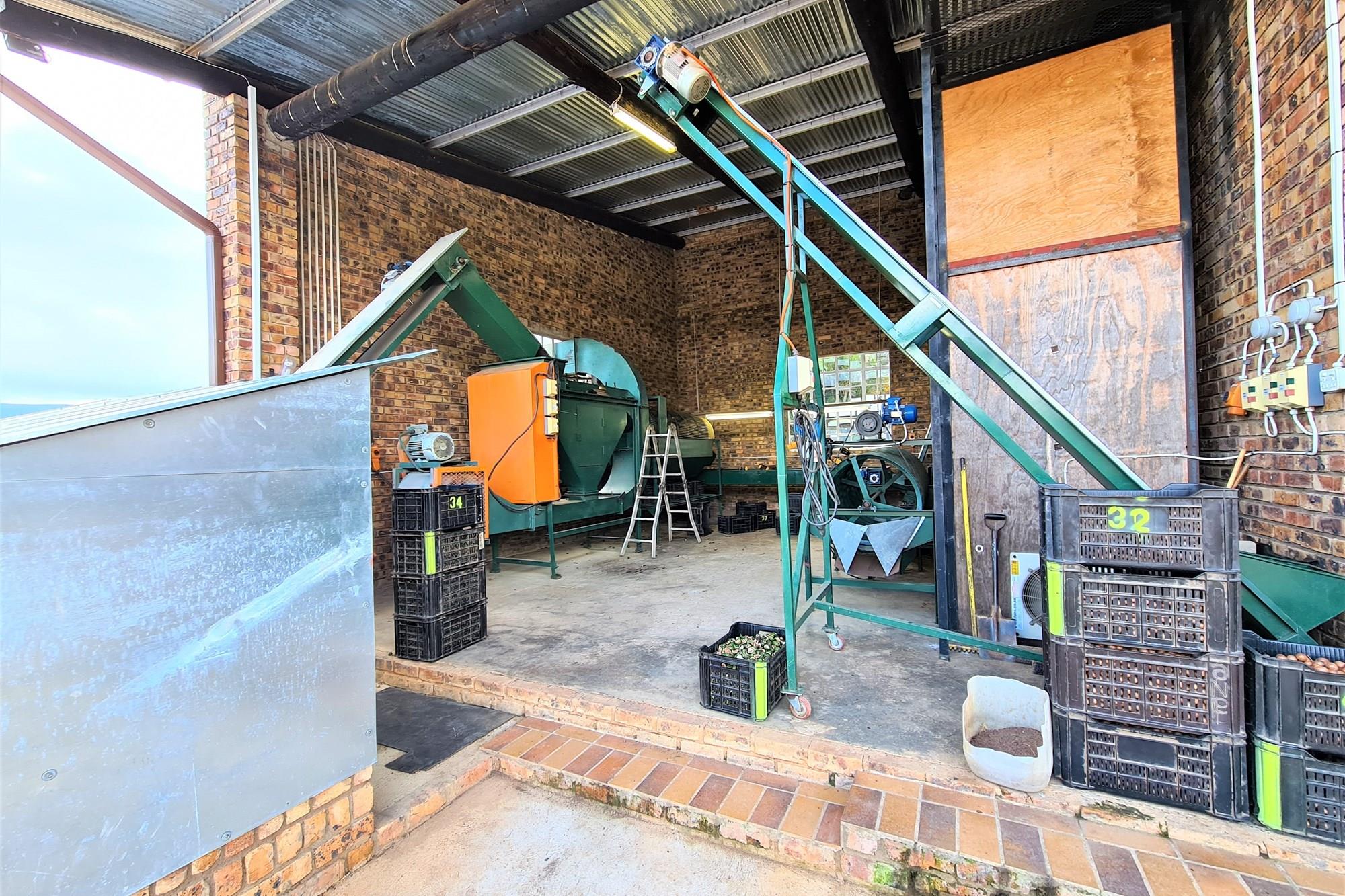 Sprawling 265Ha Macadamia Farm Oasis - Your Agricultural Dream Awaits Near Nelspruit.