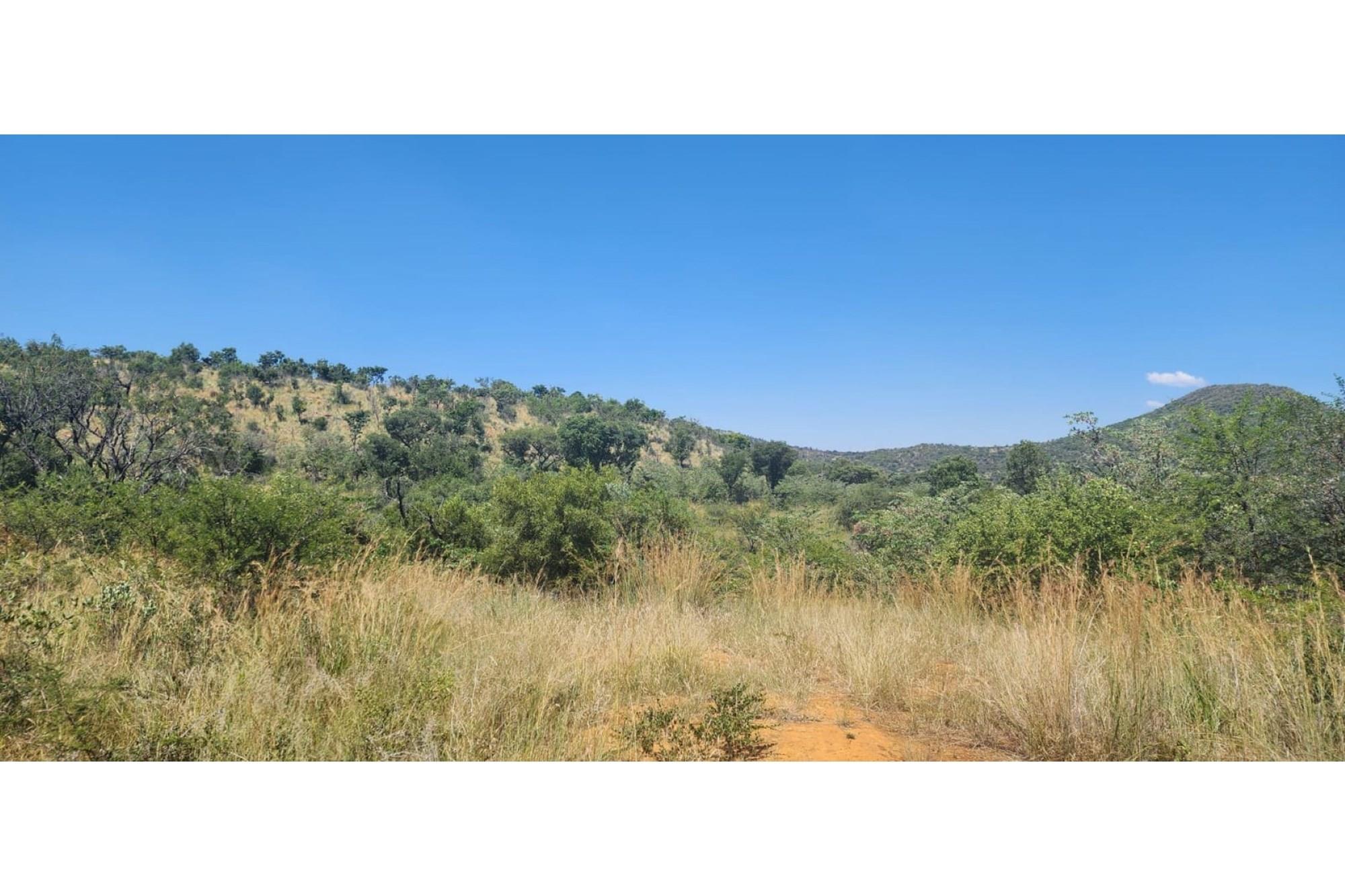 Vacant Land For Sale in Zwartkloof Private Game Reserve, Bela Bela