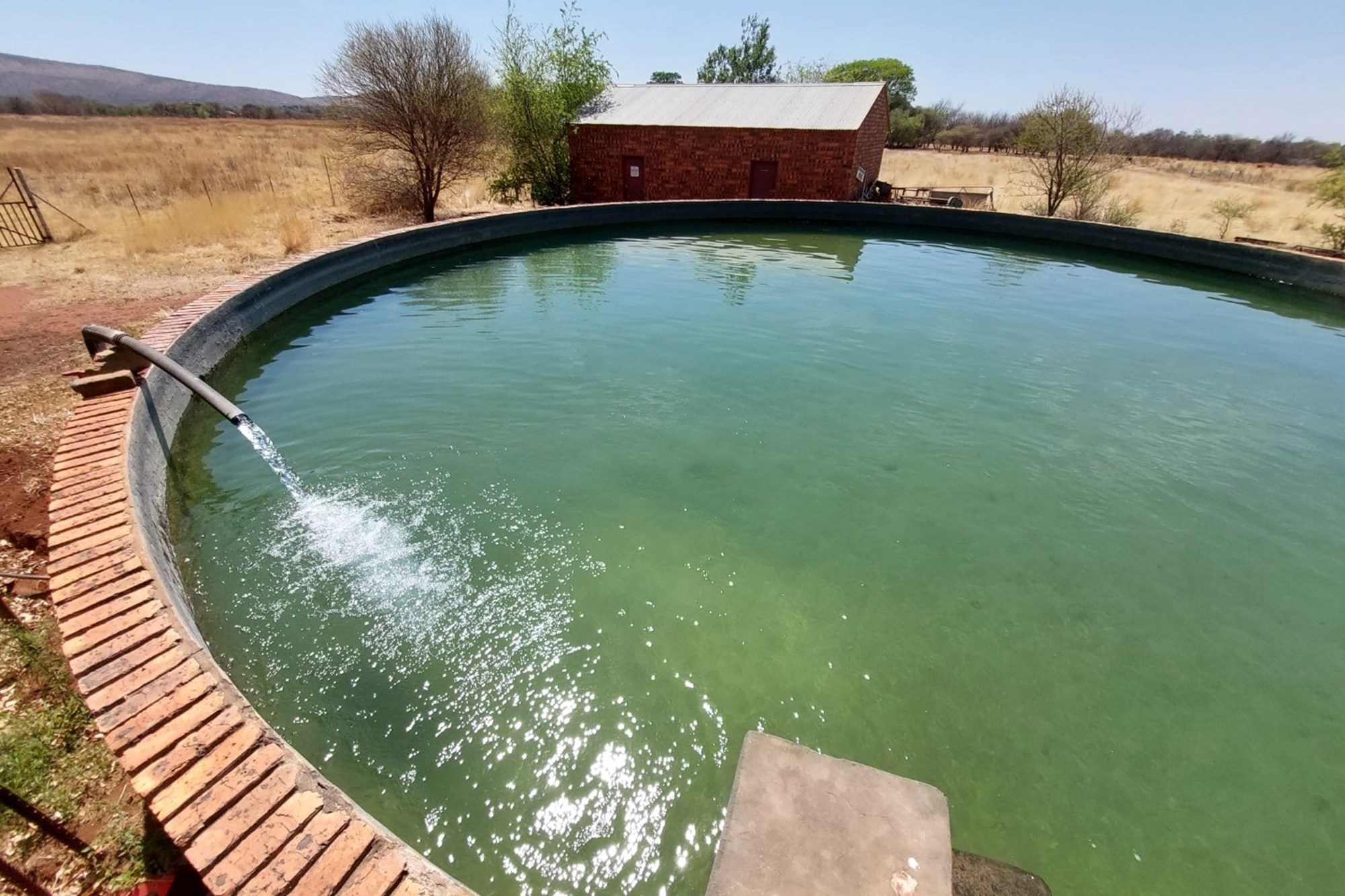 Agricultural smallholding with an abundance of water for sale near Bela Bela