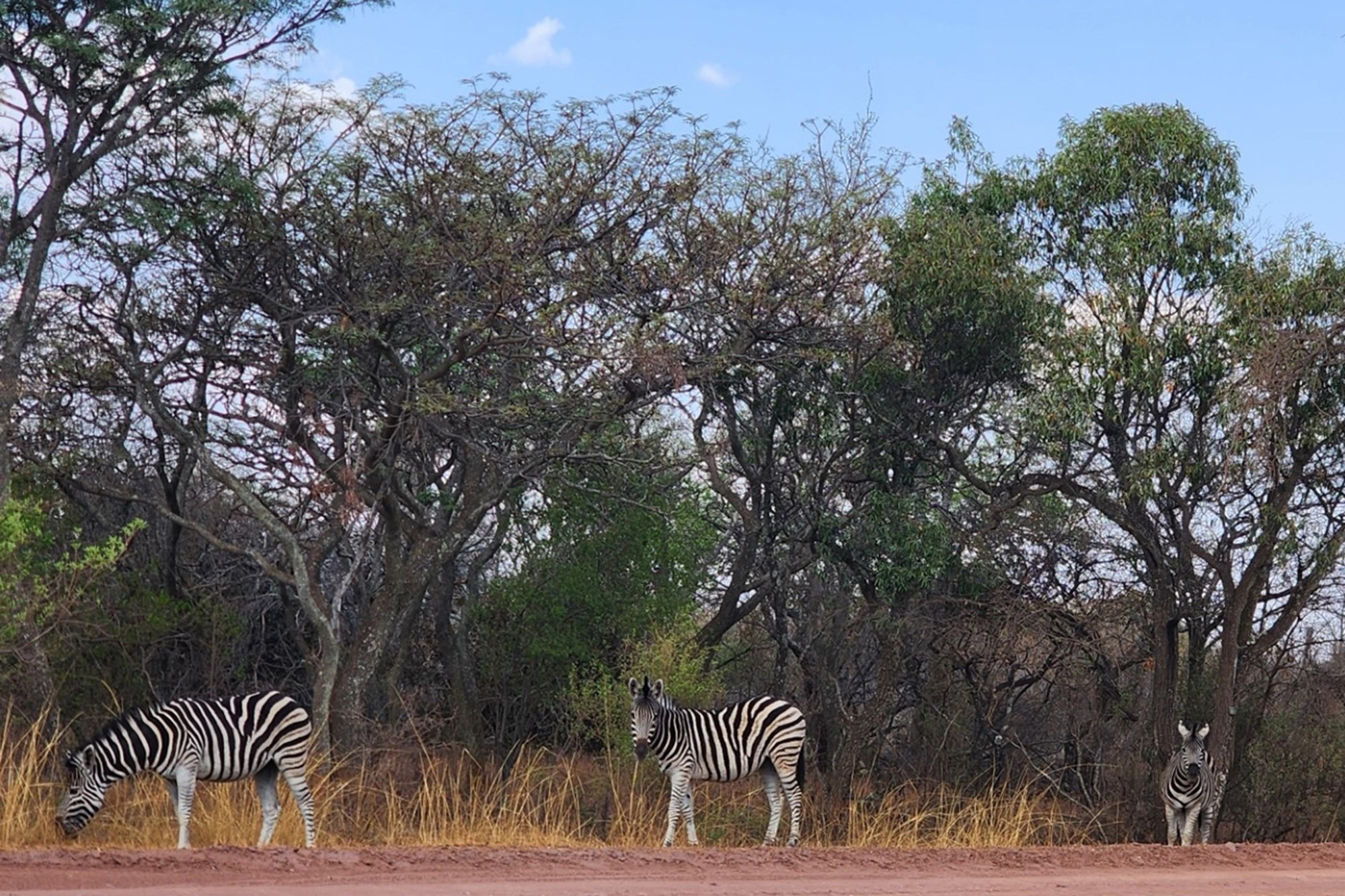 Vacant Stand with Approved Plans - Verloren Estate, Waterberg