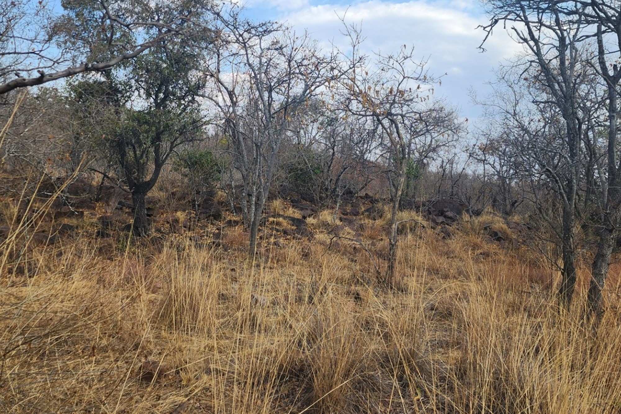 Vacant Stand with Approved Plans - Verloren Estate, Waterberg