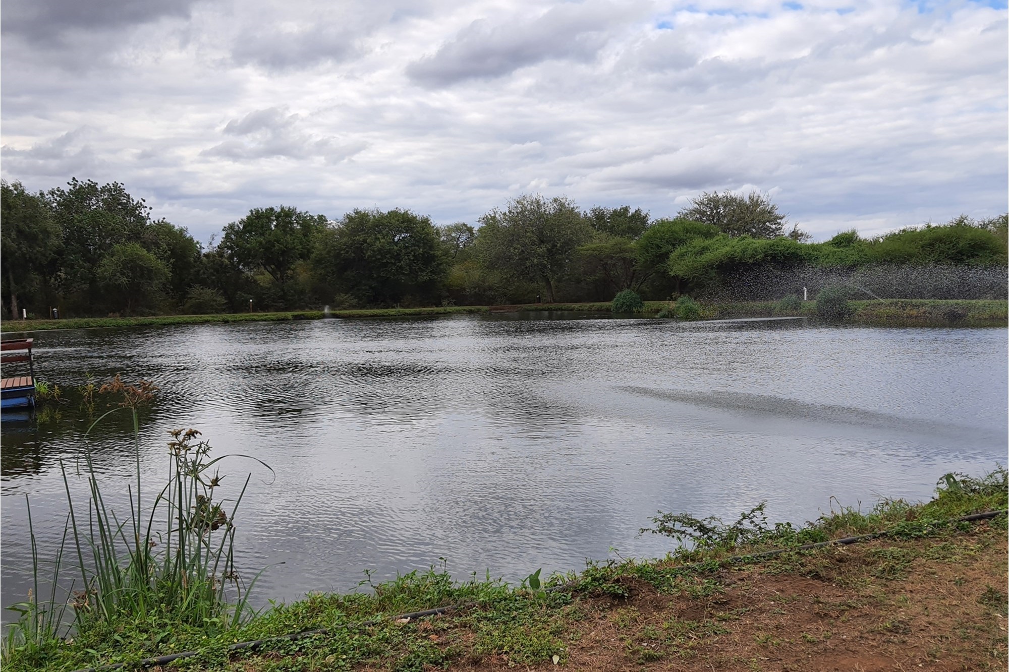 Plot and Plan option available in Hoedspruit Wildlife Estate