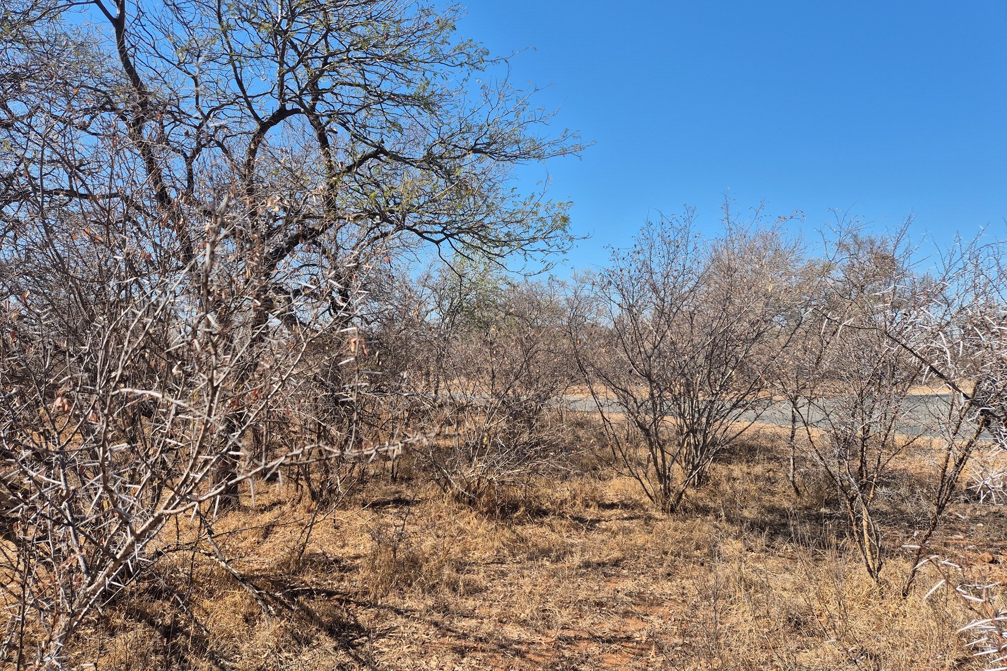 Plot and Plan option available in Hoedspruit Wildlife Estate
