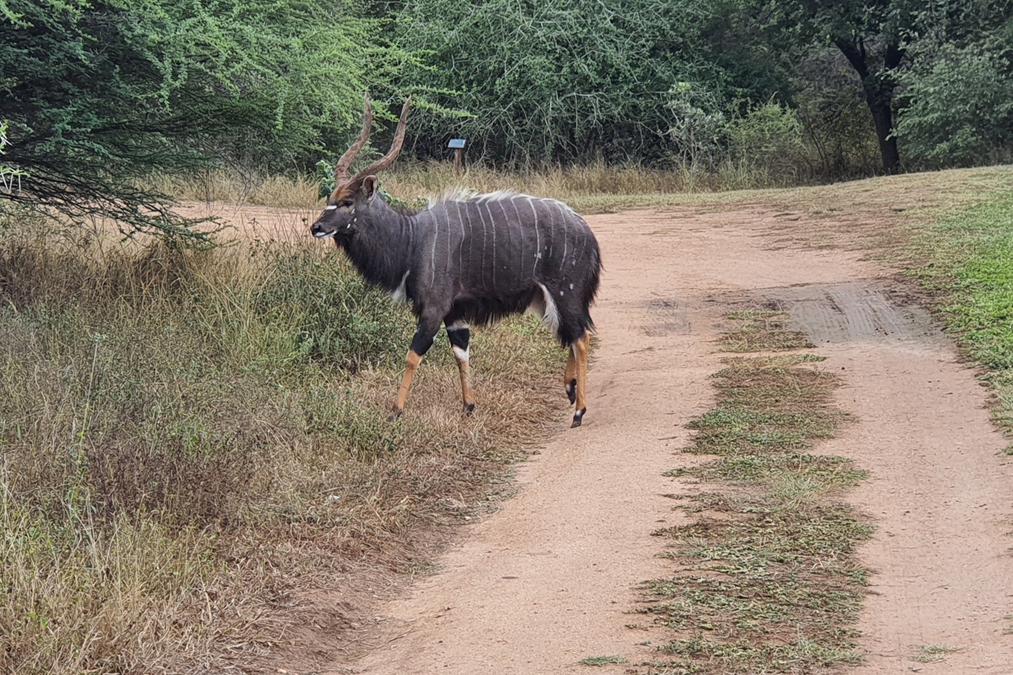 Plot and Plan option available in Hoedspruit Wildlife Estate