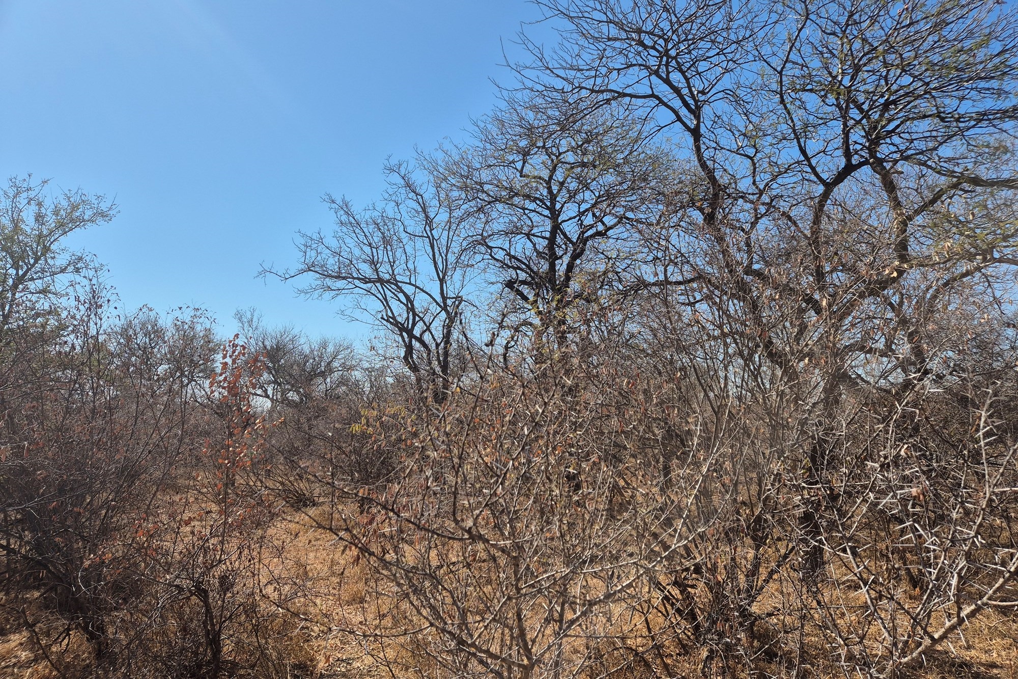 Plot and Plan option available in Hoedspruit Wildlife Estate