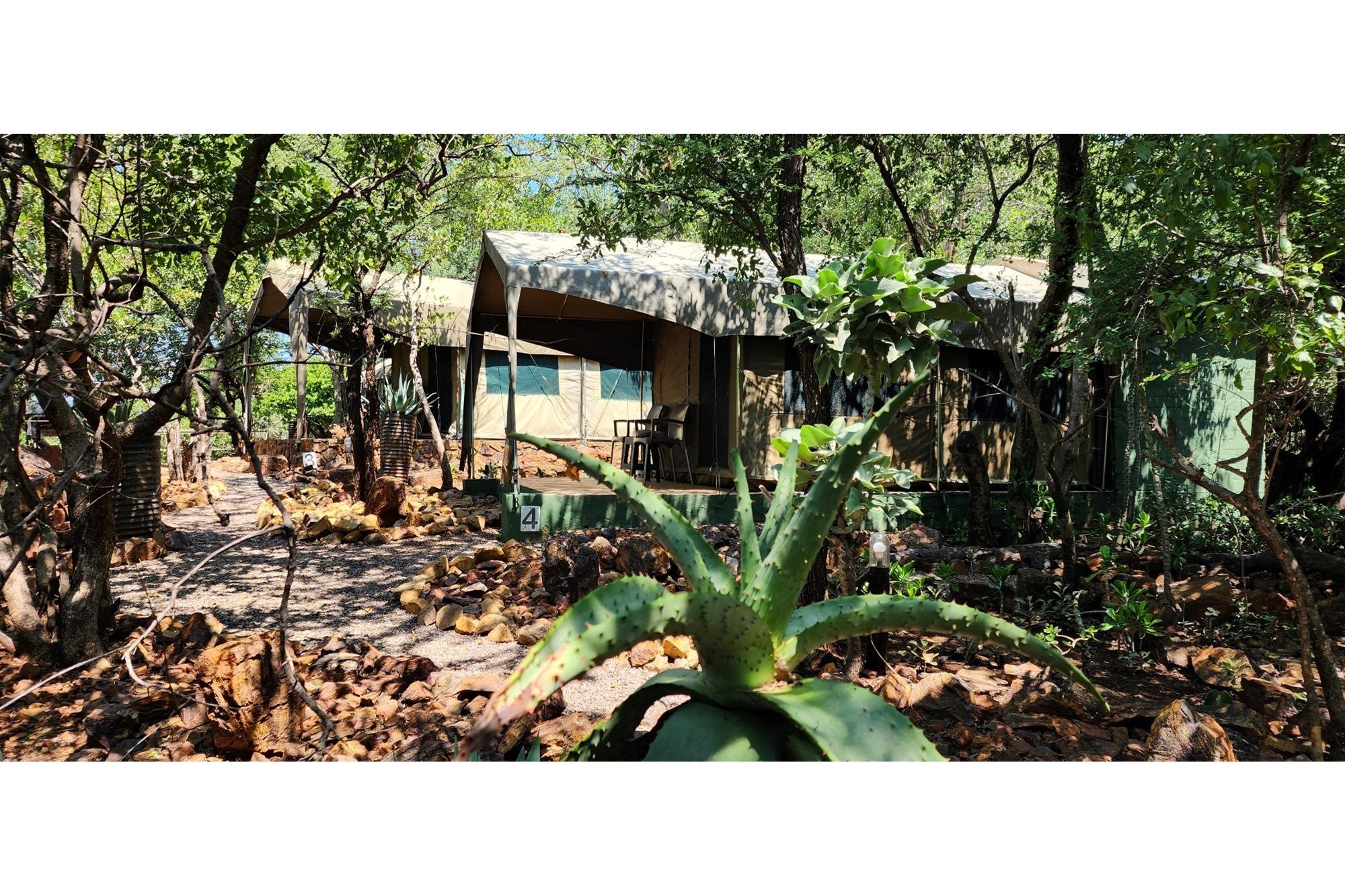 21,5 Ha farm near Bela-Bela with spectacular views. Income Generating. Pet Friendly