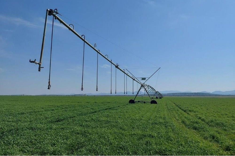 180ha Productive, well developed agricultural land, Koedoeskop