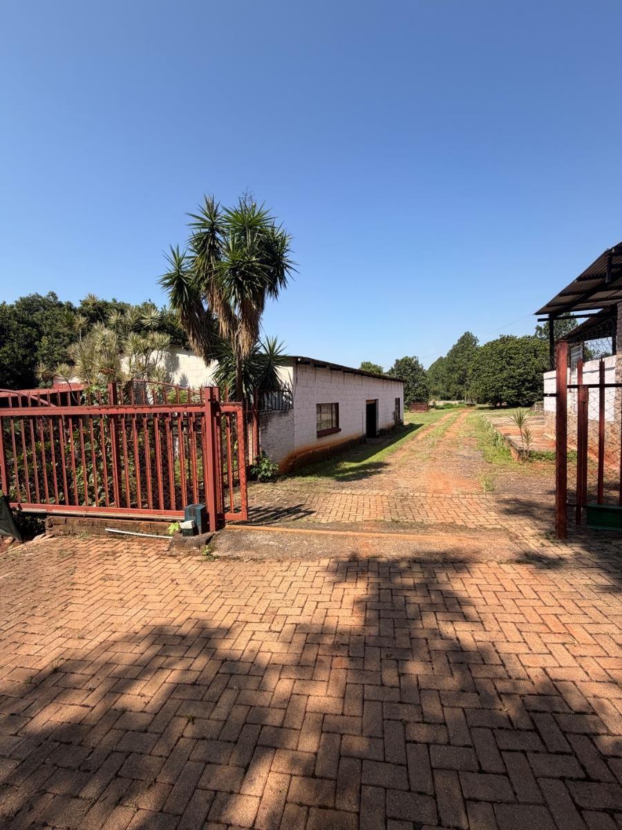 16Ha Macadamia Farm with 3 Dwelings and dam. PRICED RIGHT!