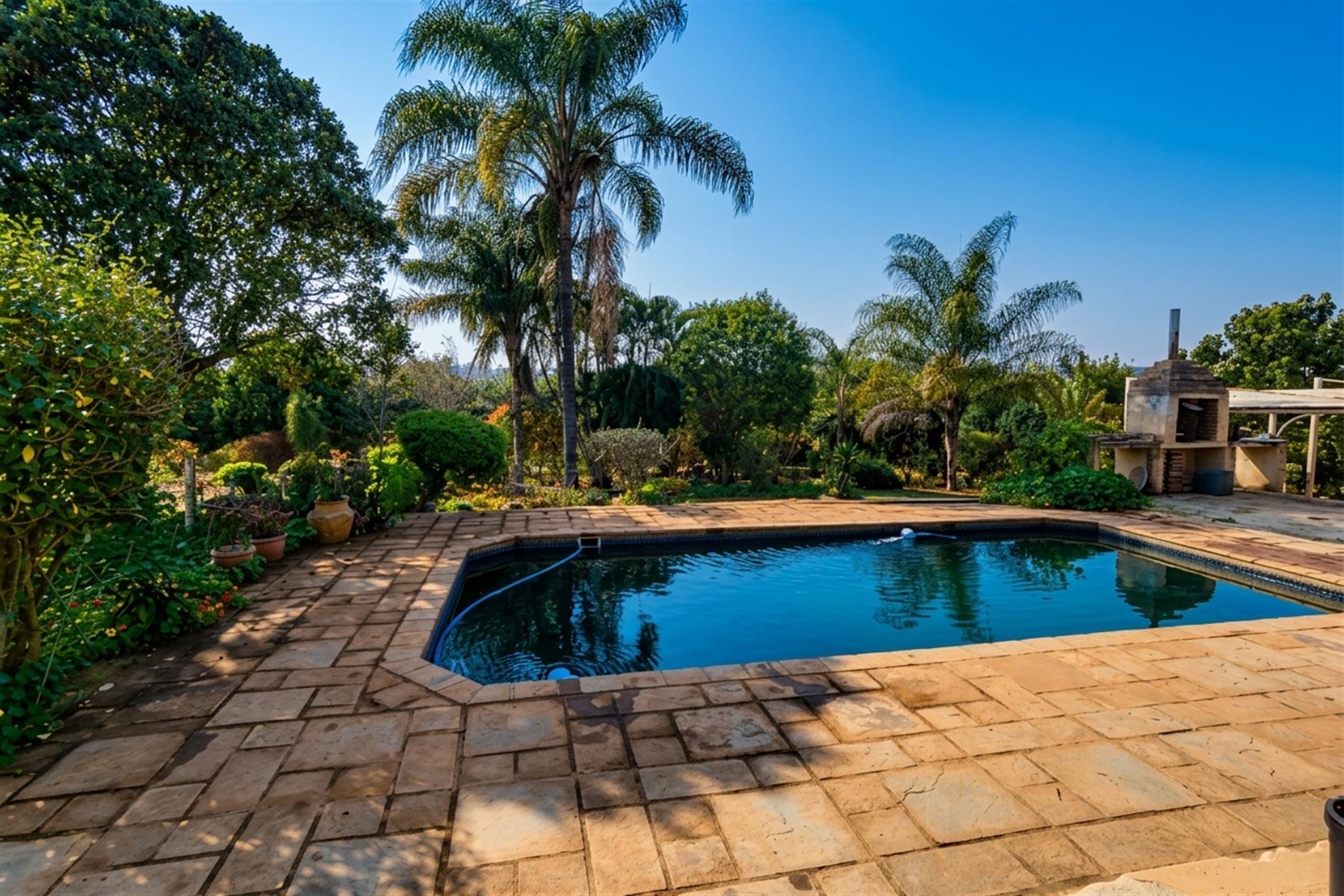 16Ha Macadamia Farm with 3 Dwelings and dam. PRICED RIGHT!