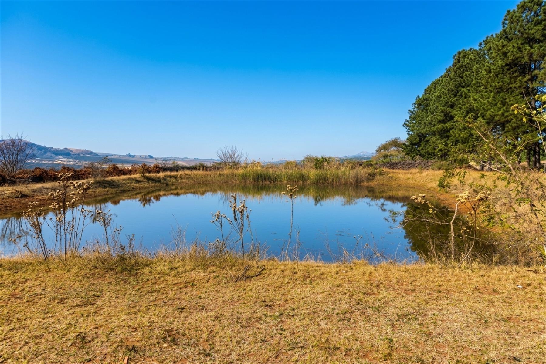 16Ha Macadamia Farm with 3 Dwelings and dam. PRICED RIGHT!