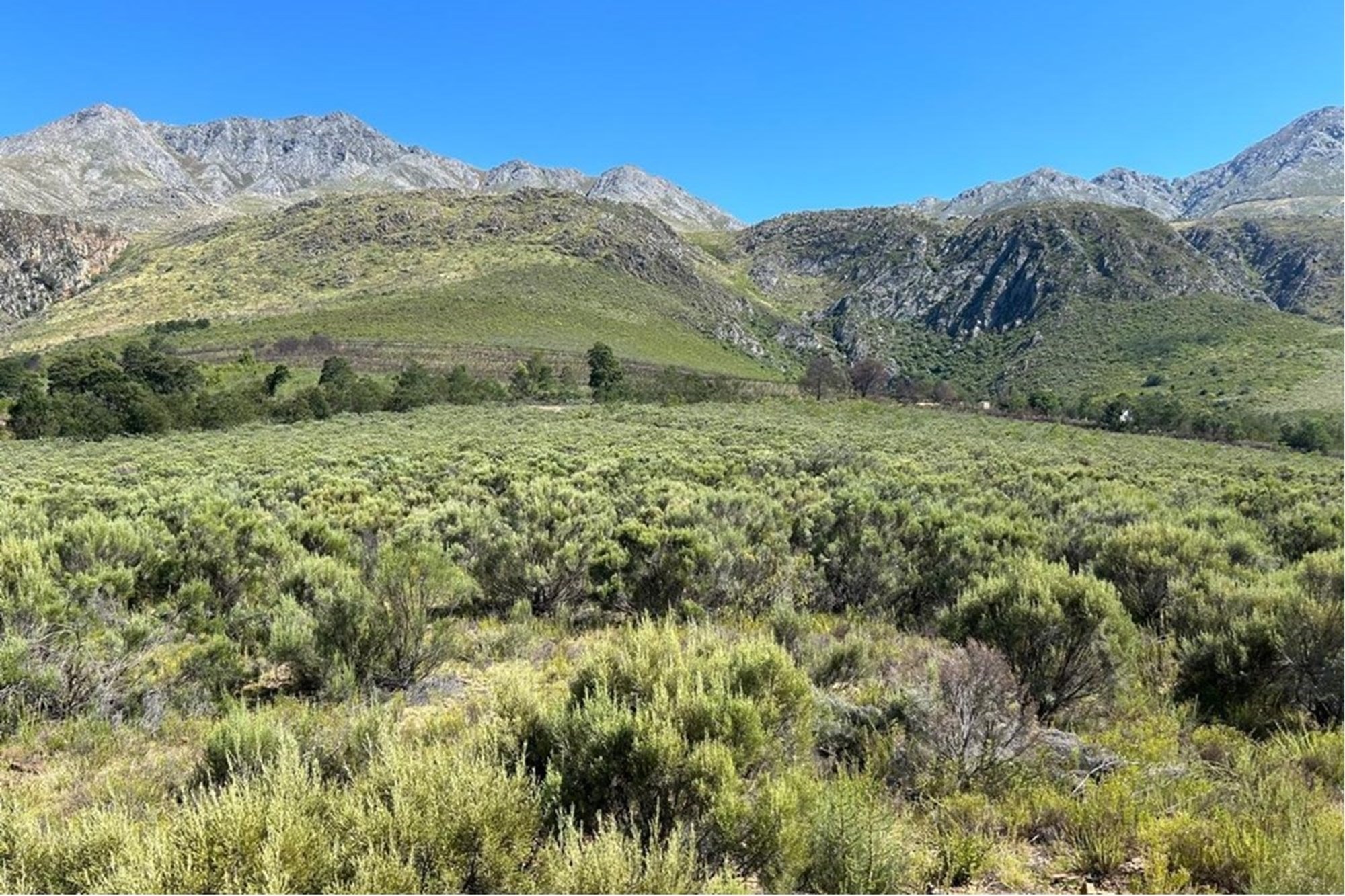 Vacant Land for sale in Oudtshoorn Rural, Oudtshoorn, 3198 m²