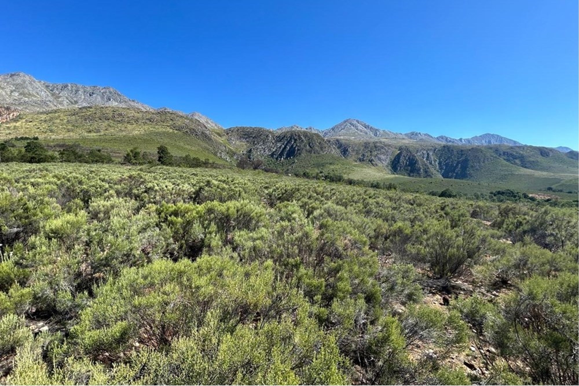 Vacant Land for sale in Oudtshoorn Rural, Oudtshoorn, 3198 m²