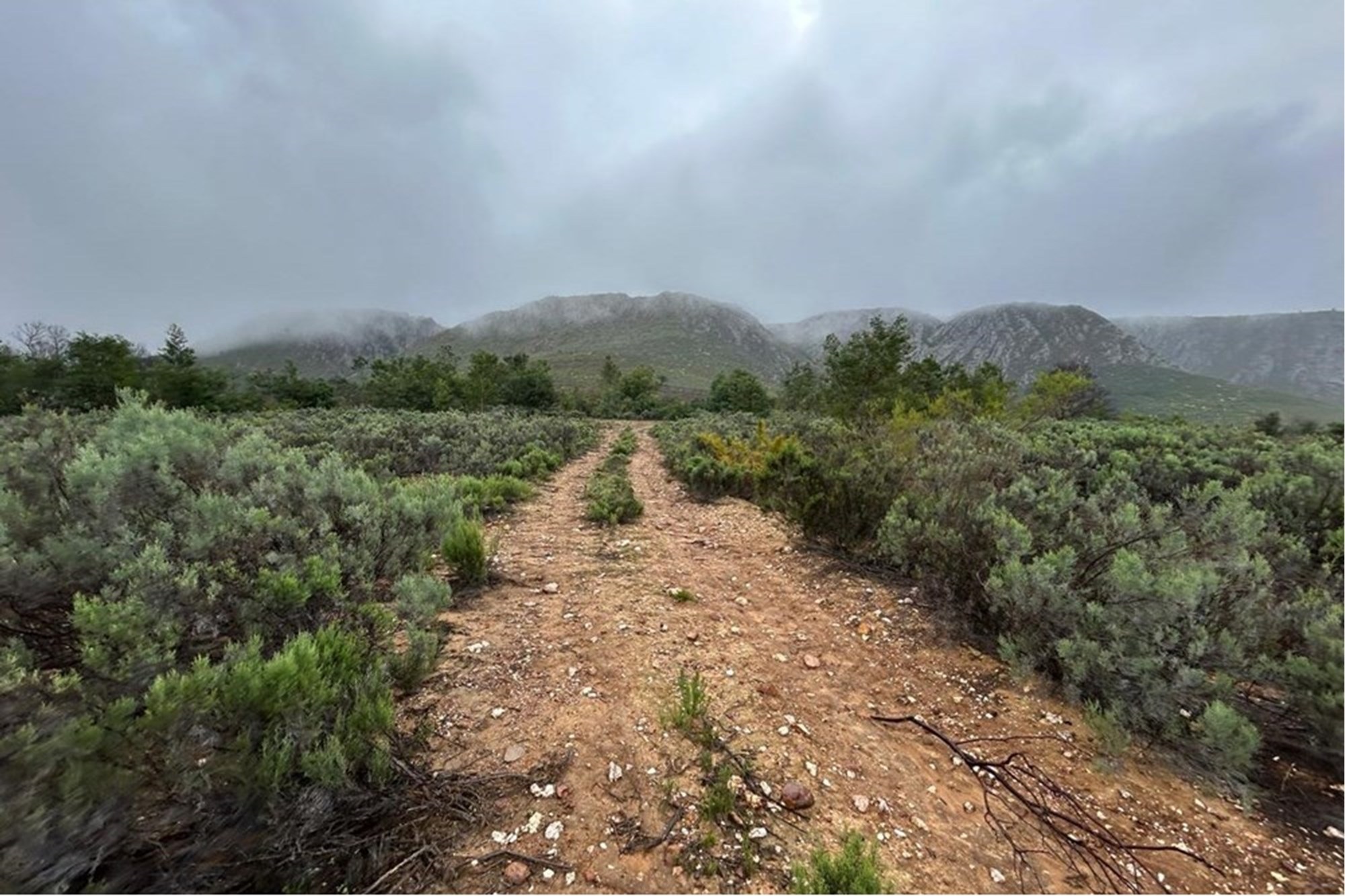 Vacant Land for sale in Oudtshoorn Rural, Oudtshoorn, 3198 m²