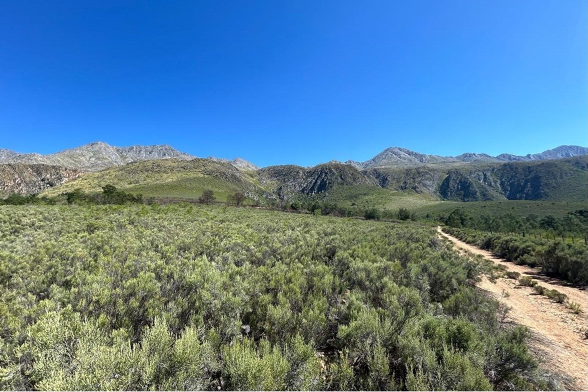 Vacant Land for sale in Oudtshoorn Rural, Oudtshoorn, 3198 m²