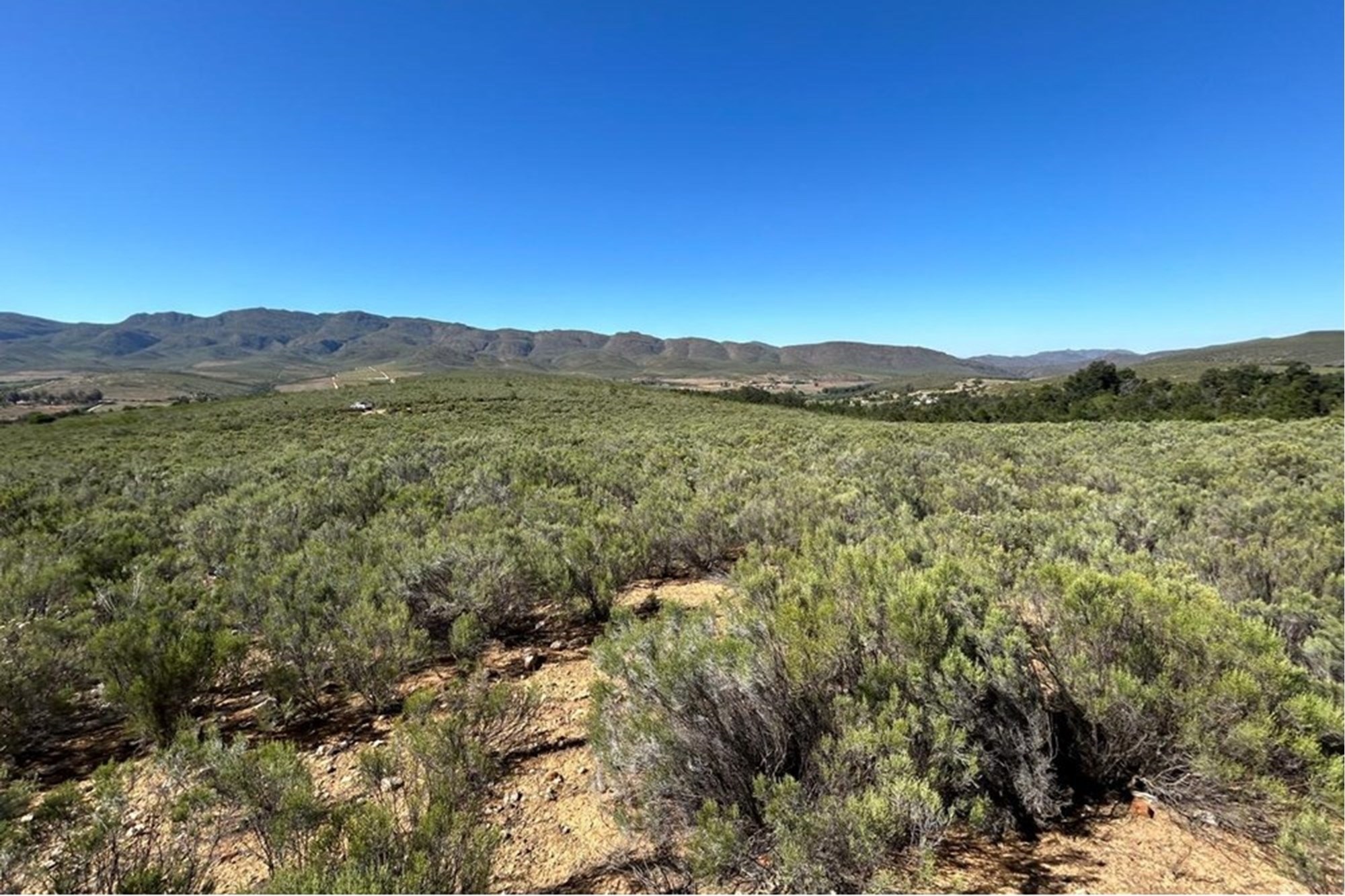 Vacant Land for sale in Oudtshoorn Rural, Oudtshoorn, 3198 m²