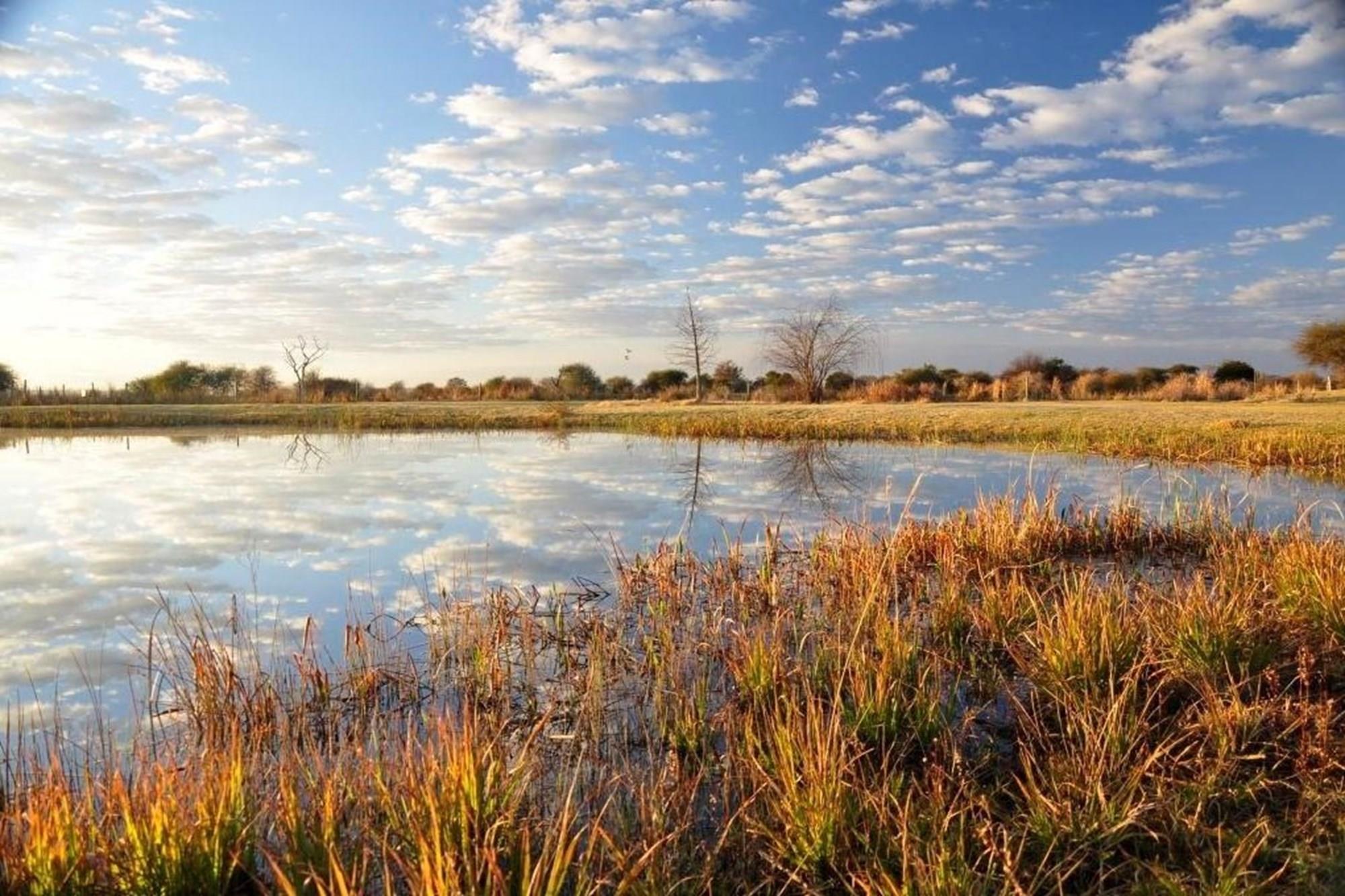 Vacant land in the sought after Ditholo Wildlife Estate between Bela Bela and Thabazimbi