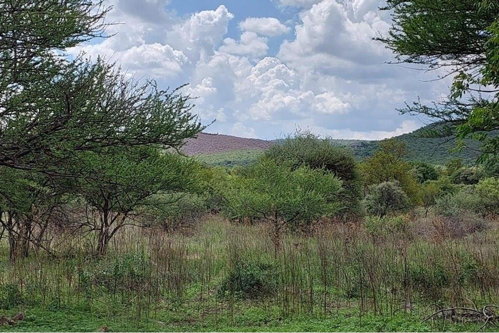 45 ha Smallholding in Roodepoort, Bela Bela with lots of breeding camps and two title deeds