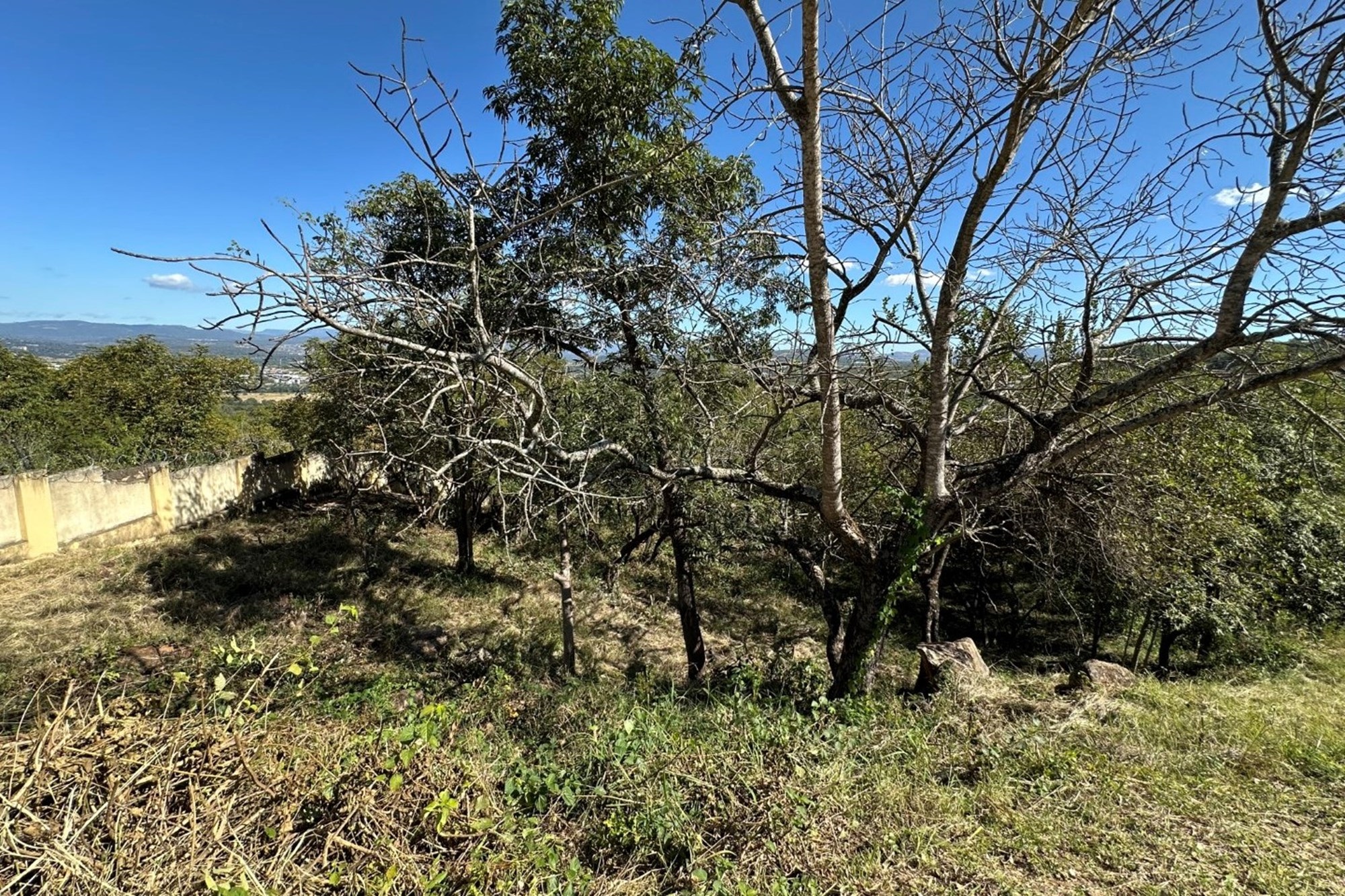 🏡 Vacant Stand For Sale | Mountain View Estate, Drum Rock