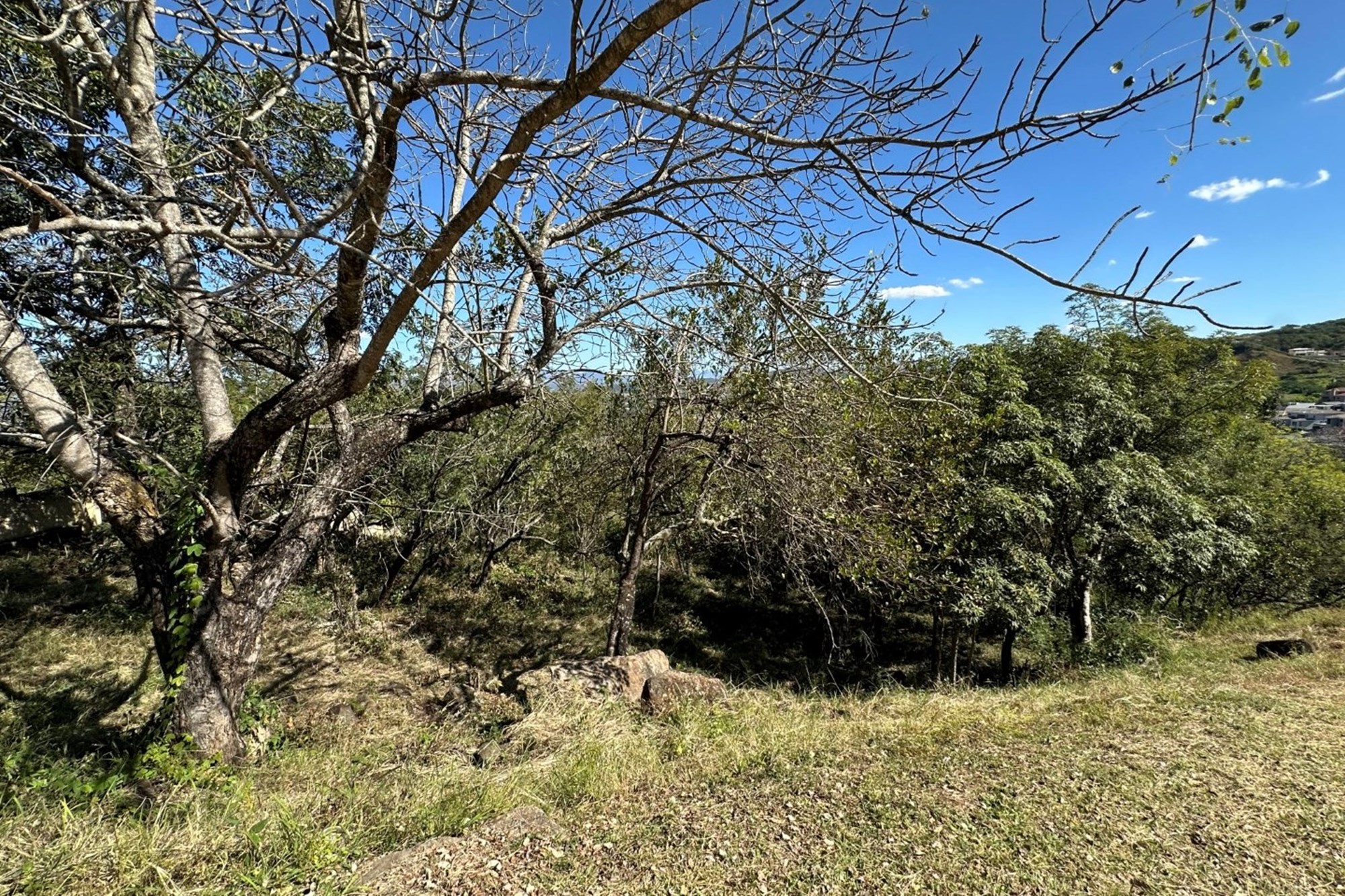 🏡 Vacant Stand For Sale | Mountain View Estate, Drum Rock