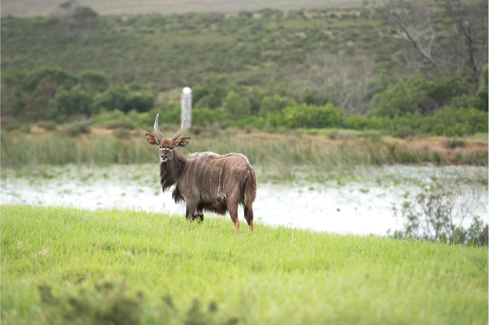 OWN YOUR OWN PIECE OF PARADISE IN JEFFREYS BAY! 4
