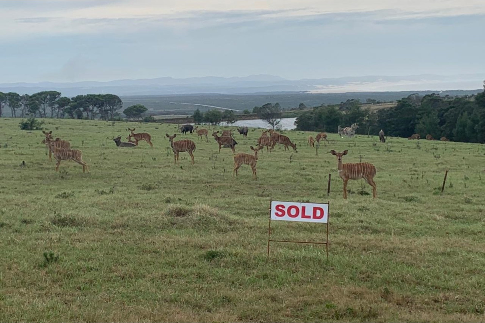 OWN YOUR OWN PIECE OF PARADISE IN JEFFREYS BAY! 5
